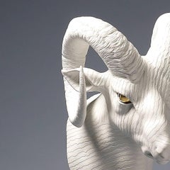 Adaptation #03-Big Horn Sheep