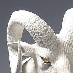 Adaptation 03 Big Horn Sheep