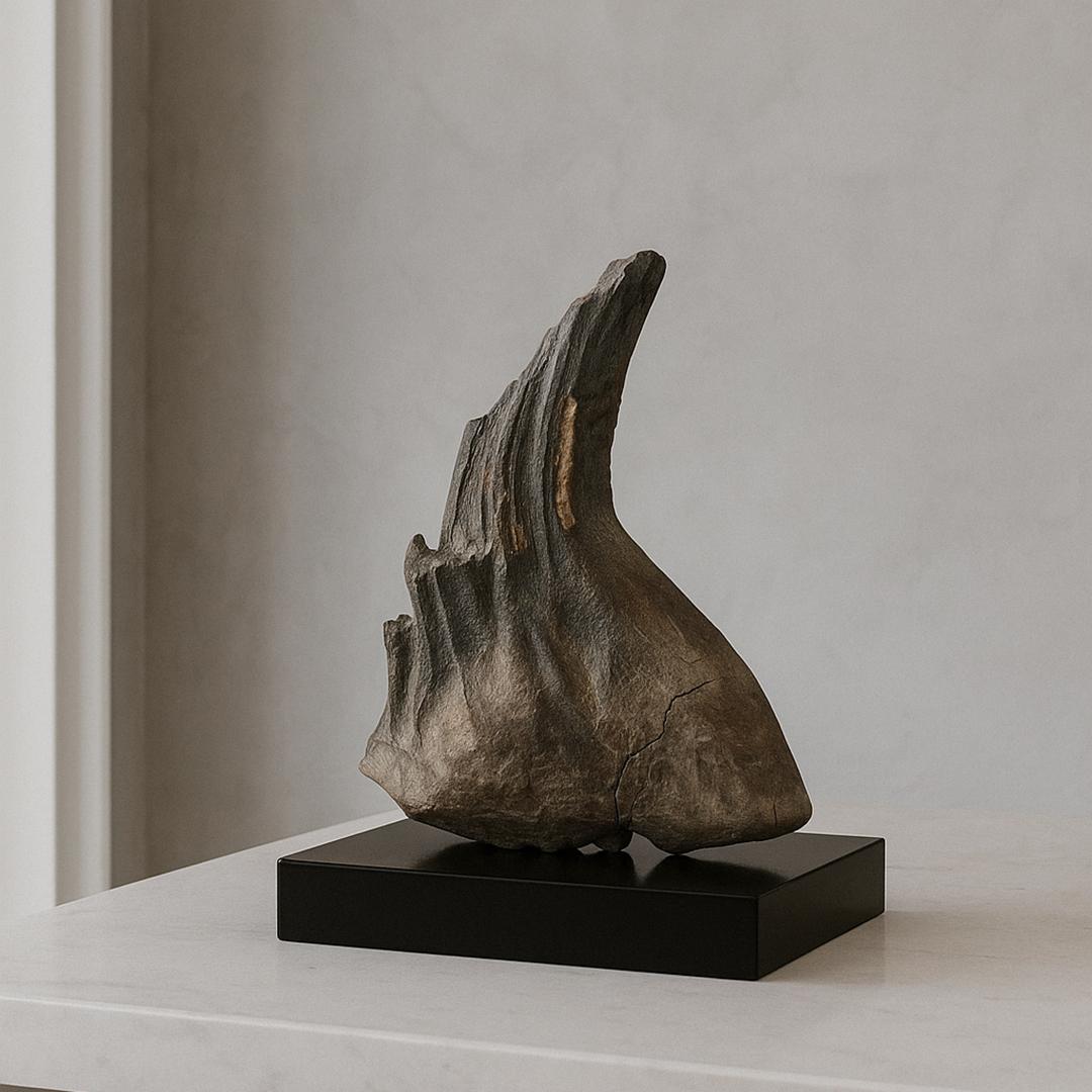 Other Woolly Mammoth Tooth For Sale
