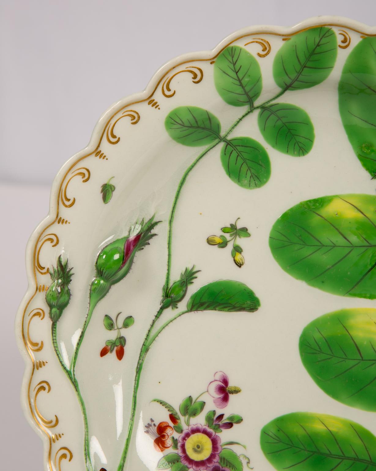 A Worcester Porcelain Blind Earl dish made in the late 18th century. The Blind Earl pattern has raised rosebuds growing from a raised branch. Blind Earl porcelain was named after the Earl George William Coventry who lost his sight in a riding