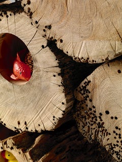 Œuvre d'art / Sculpture Riva 1920 Briciole dedign Paola Navone - Briccola Wood