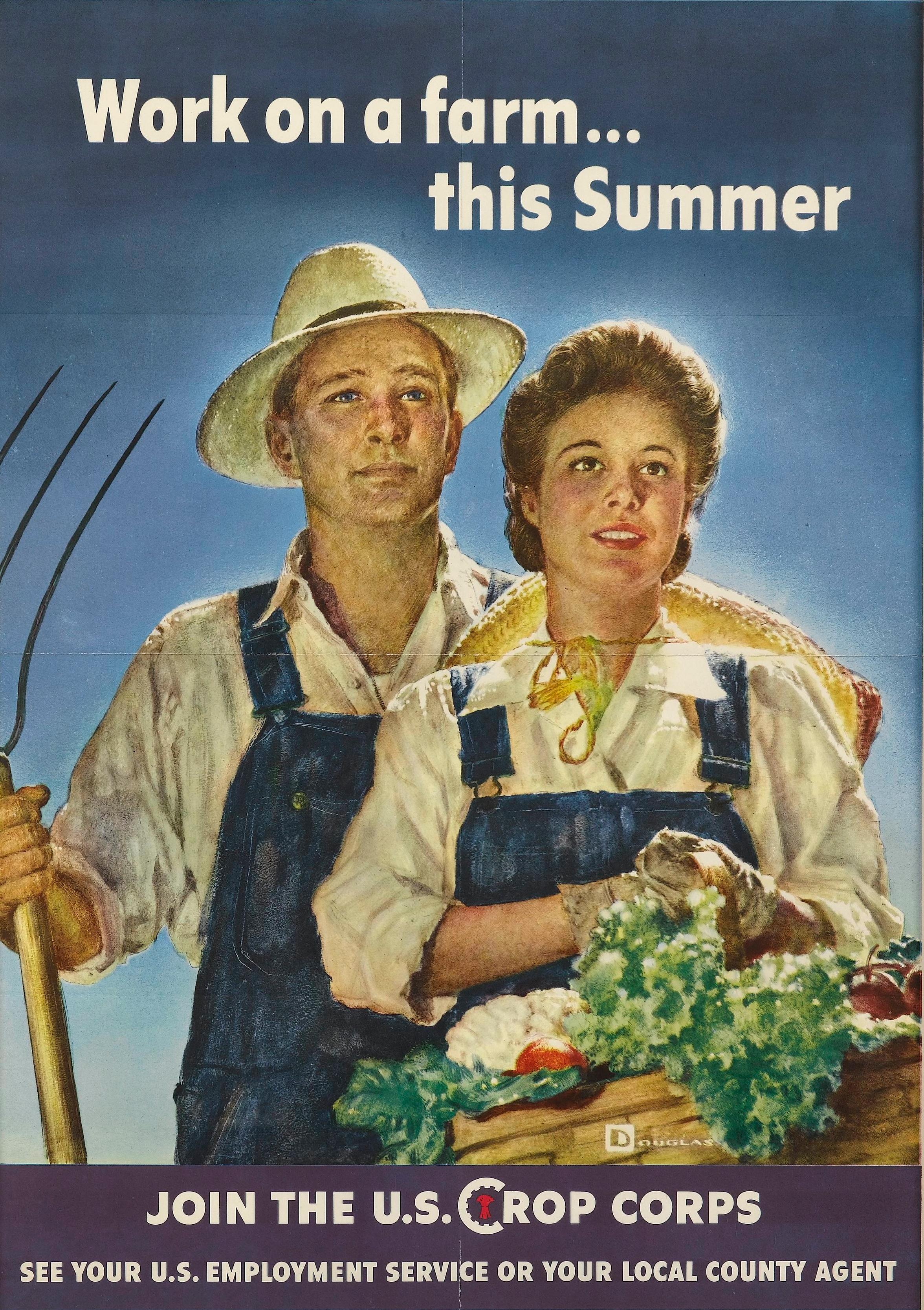 Presented is an original WWII U.S. Crop Corps recruitment poster. Designed by Douglas, this poster was issued by the Office of War Information in Washington DC, in 1943. In the composition, a man holds a pitchfork while a woman holds a basket with