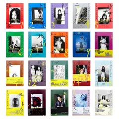 Werke von Nobuyoshi Araki, komplette Buchkollektion 1-20