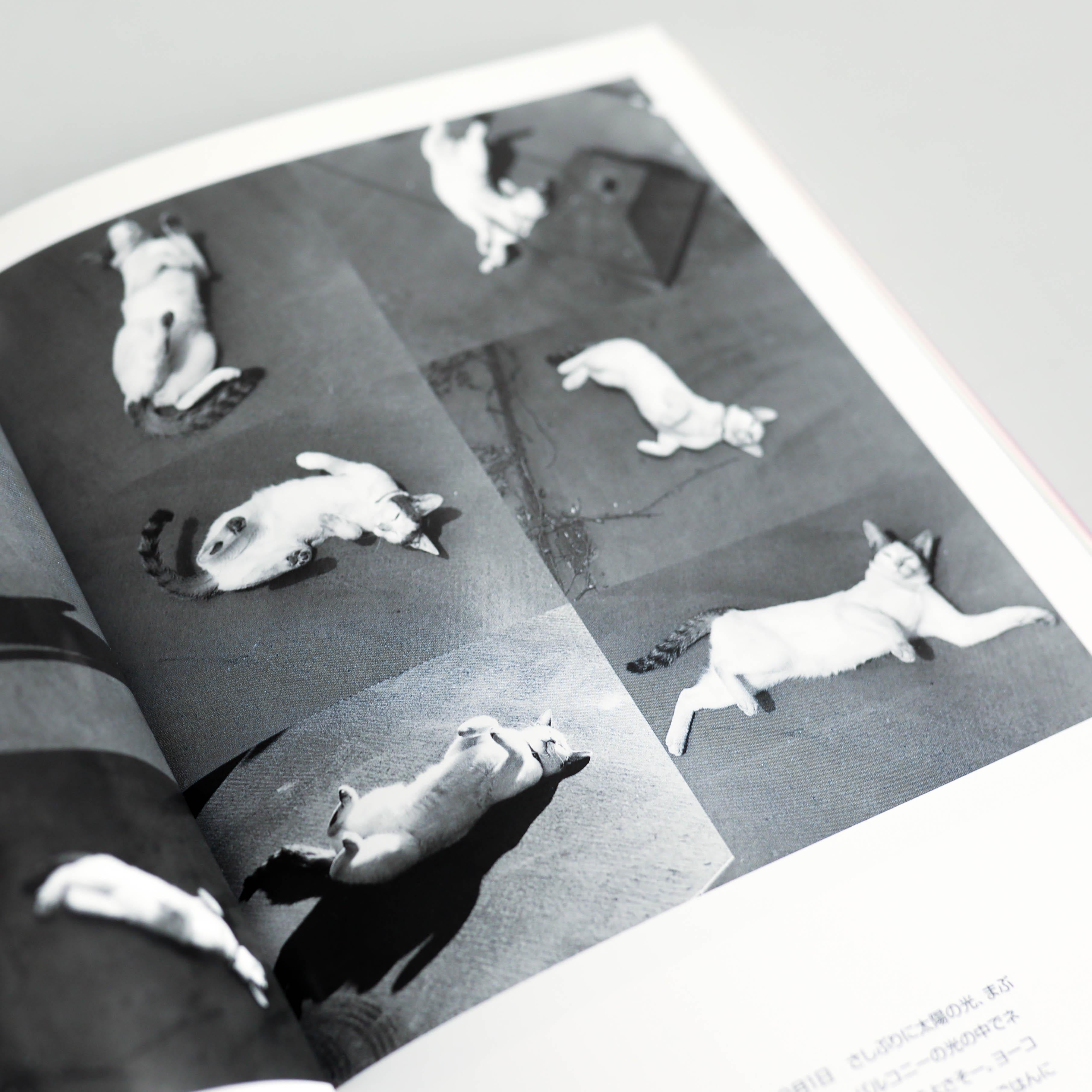 Works of Nobuyoshi Araki Book Complete Collection 1-20 8