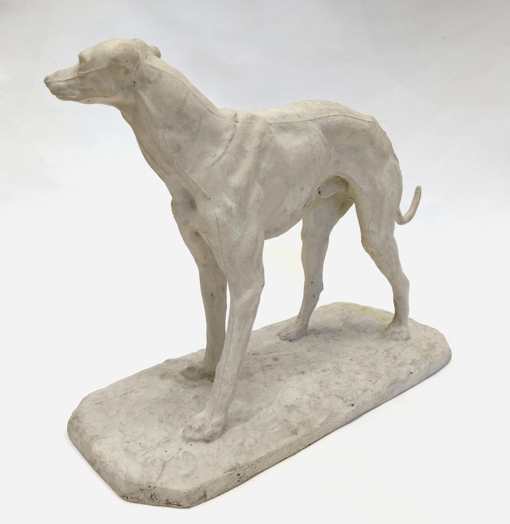 Mid-19th Century Workshop plaster of a greyhound, by Pierre-Jules Mêne, France, circa 1850 For Sale