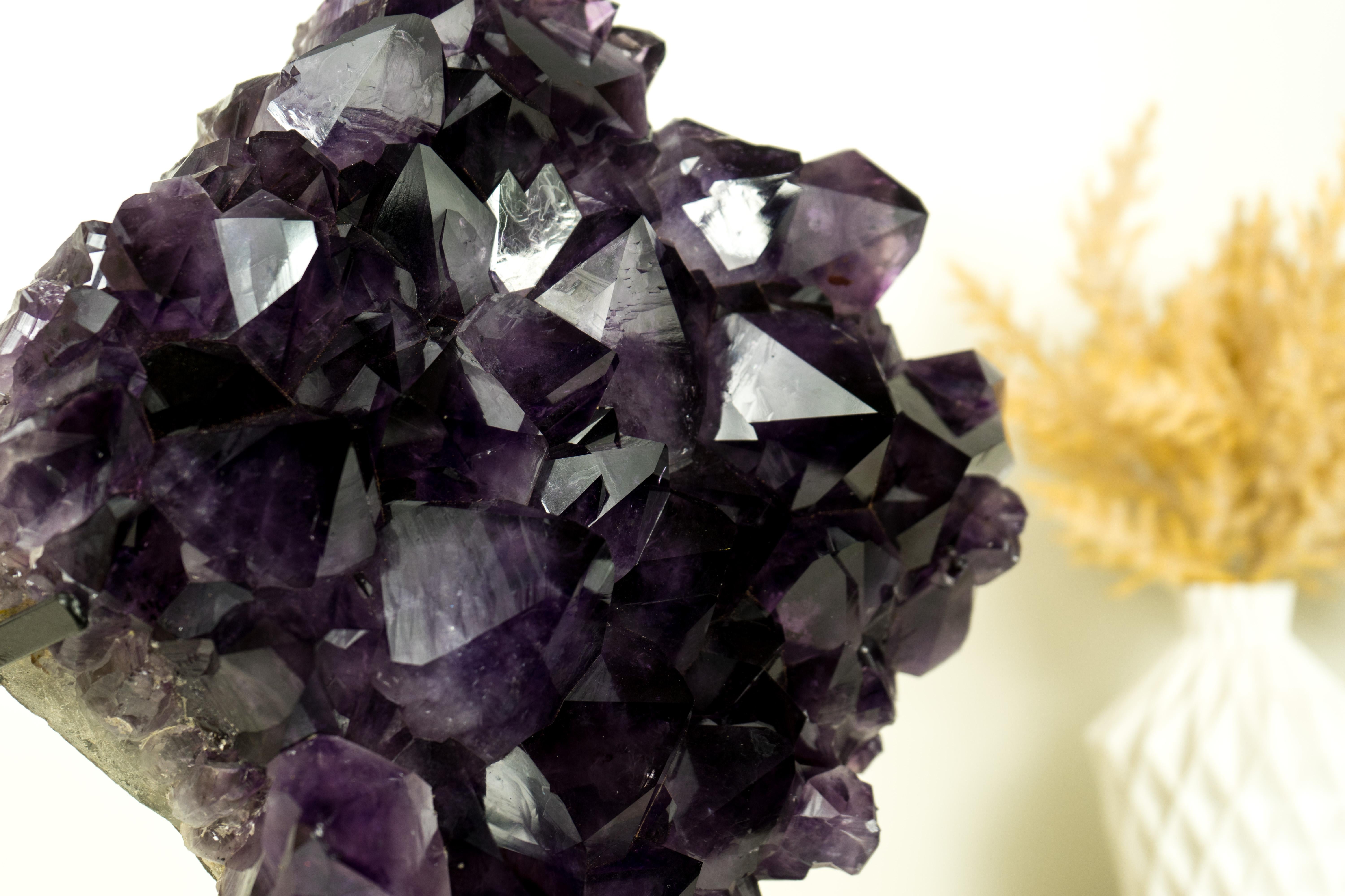 Agate World-Class AAA Dark Purple Amethyst Geode Cluster, Gallery Grade X-Large Druzy For Sale