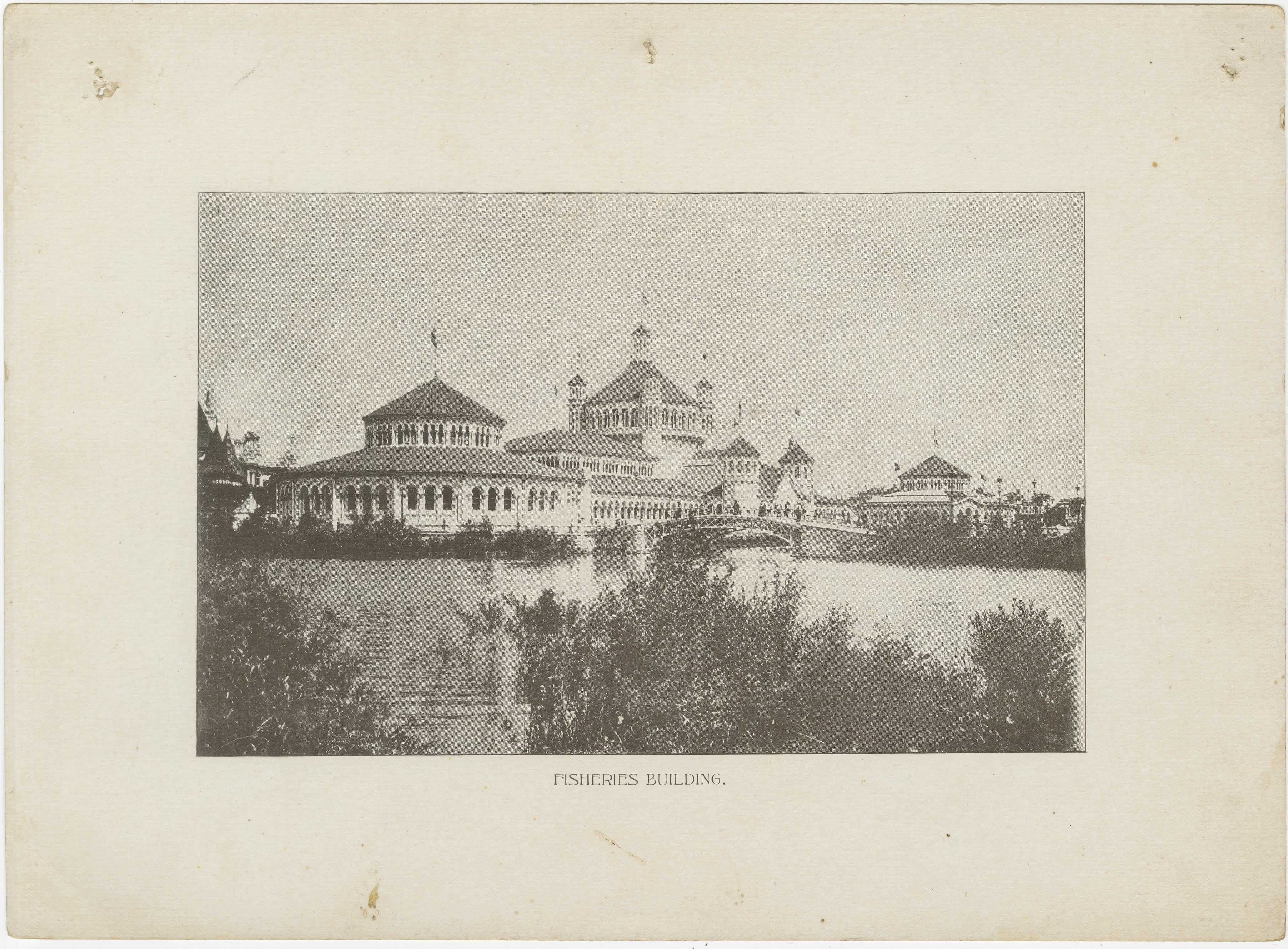 Début du 20ème siècle World’s Columbian Exposition 1893 – Set of Photographic Prints Published in 1902 en vente