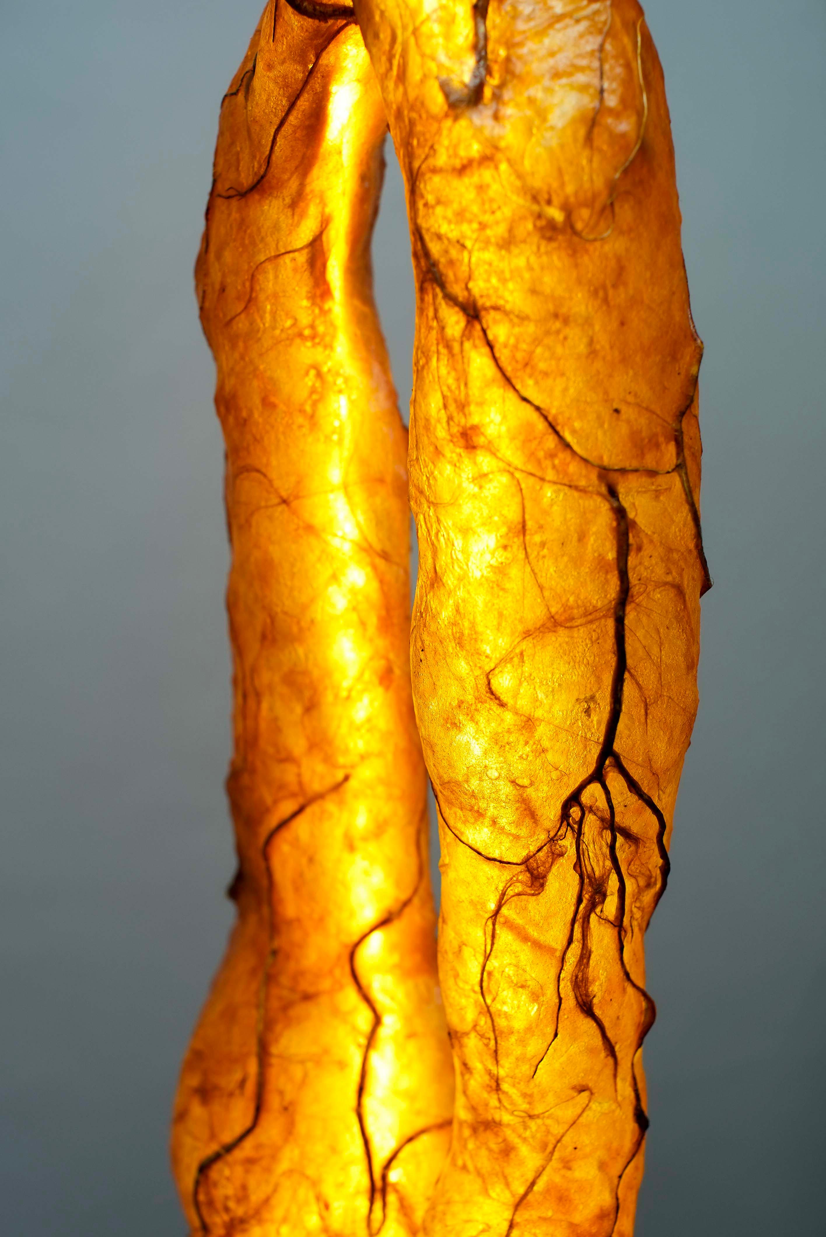 MATERIALI:  RICETTA BIOPLASTICA DELL'ARTISTA, FIBRE DI CANAPA, RADICI NATURALI, SENSORE DIGITALE, TINTURA NATURALE DI CURCUMA
STRISCE LUMINOSE A LED
DIMENSIONI: 83 x 22 x 14 cm (33 x 9 x 5 1/2 in)
ANNO: 2024
Sabrina Merayo Nuñez è un'artista