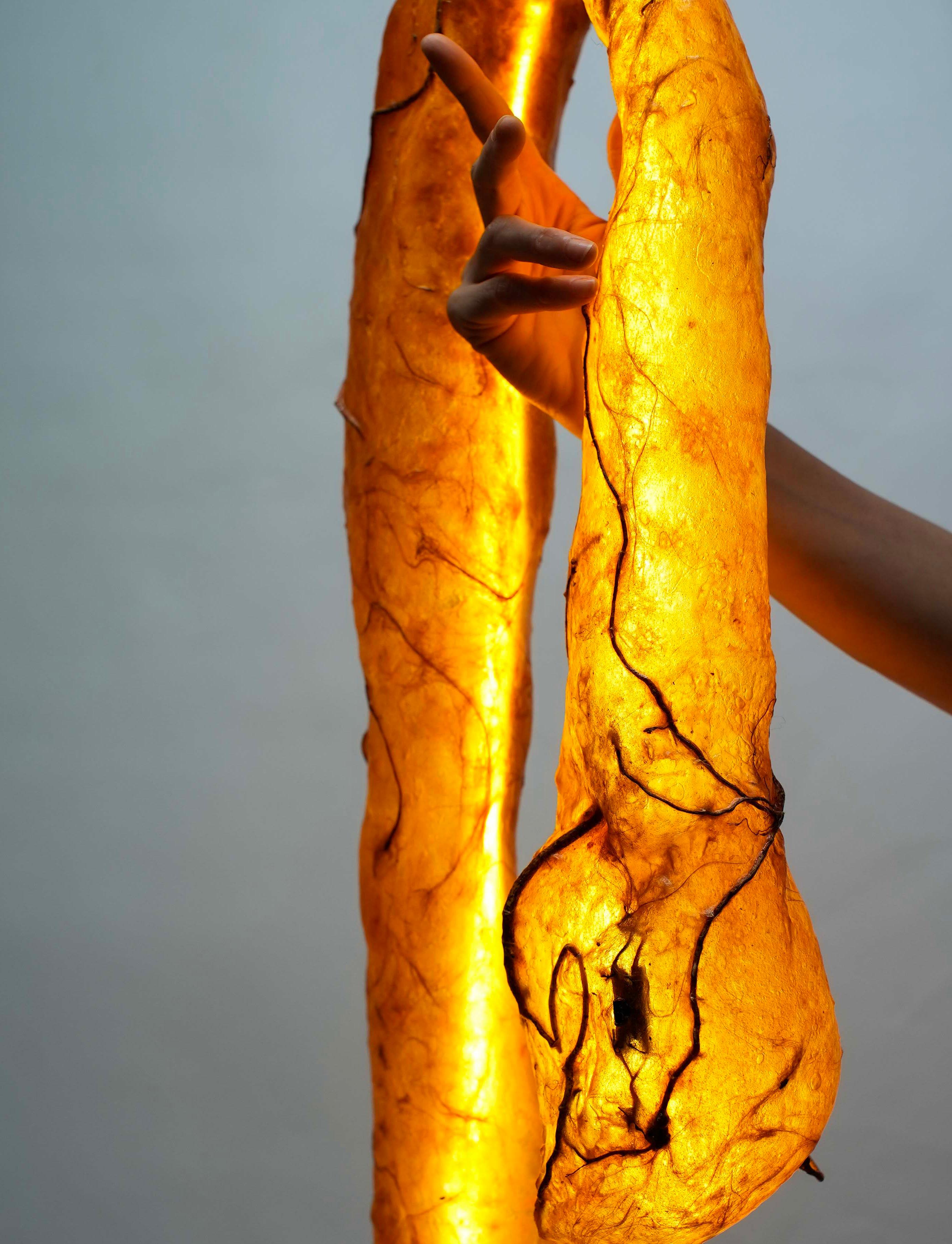 Moderno Ciondolo a forma di verme in vendita