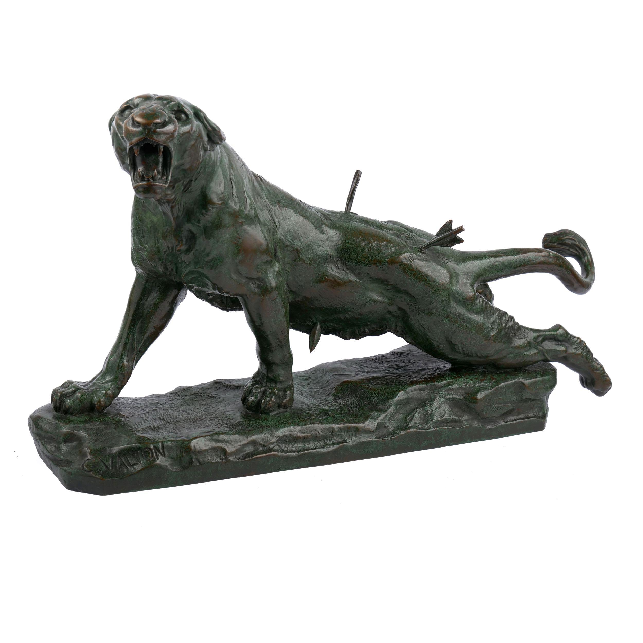 A superb lifetime cast of Charles Valton's “Lionne Blessée“ executed by the foundry Siot-Decauville during the first quarter of the 20th century, this extraordinary example is one of struggle and determination. A savage study, the model depicts a