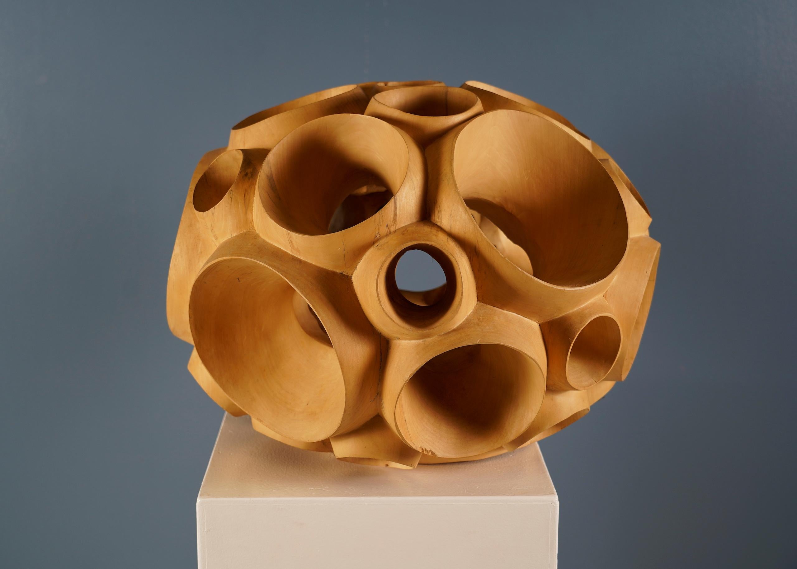 Biosphere II by Wouter van der Vlugt - Wood sculpture, poplar, movement, shape For Sale 1