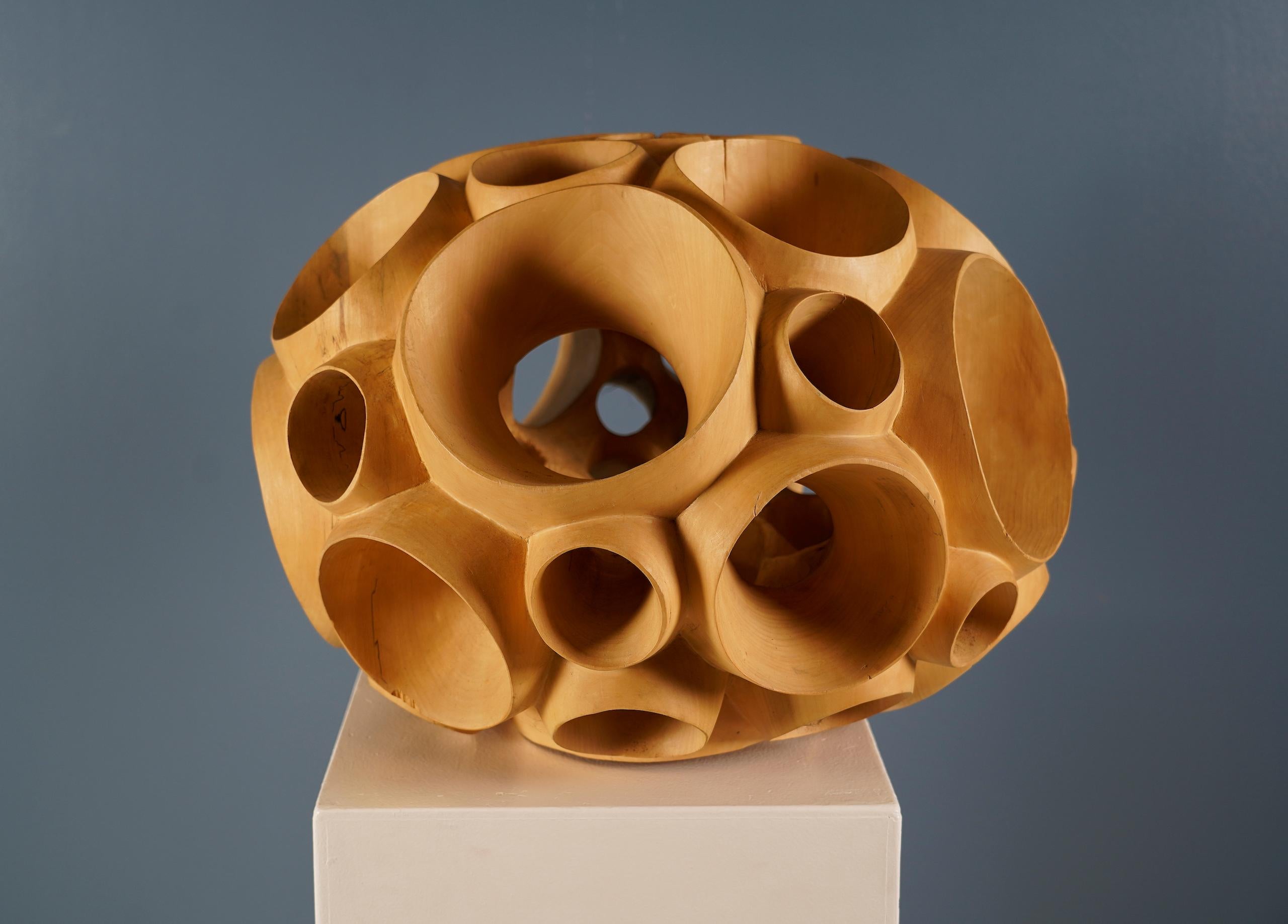 Biosphere II by Wouter van der Vlugt - Wood sculpture, poplar, movement, shape For Sale 2
