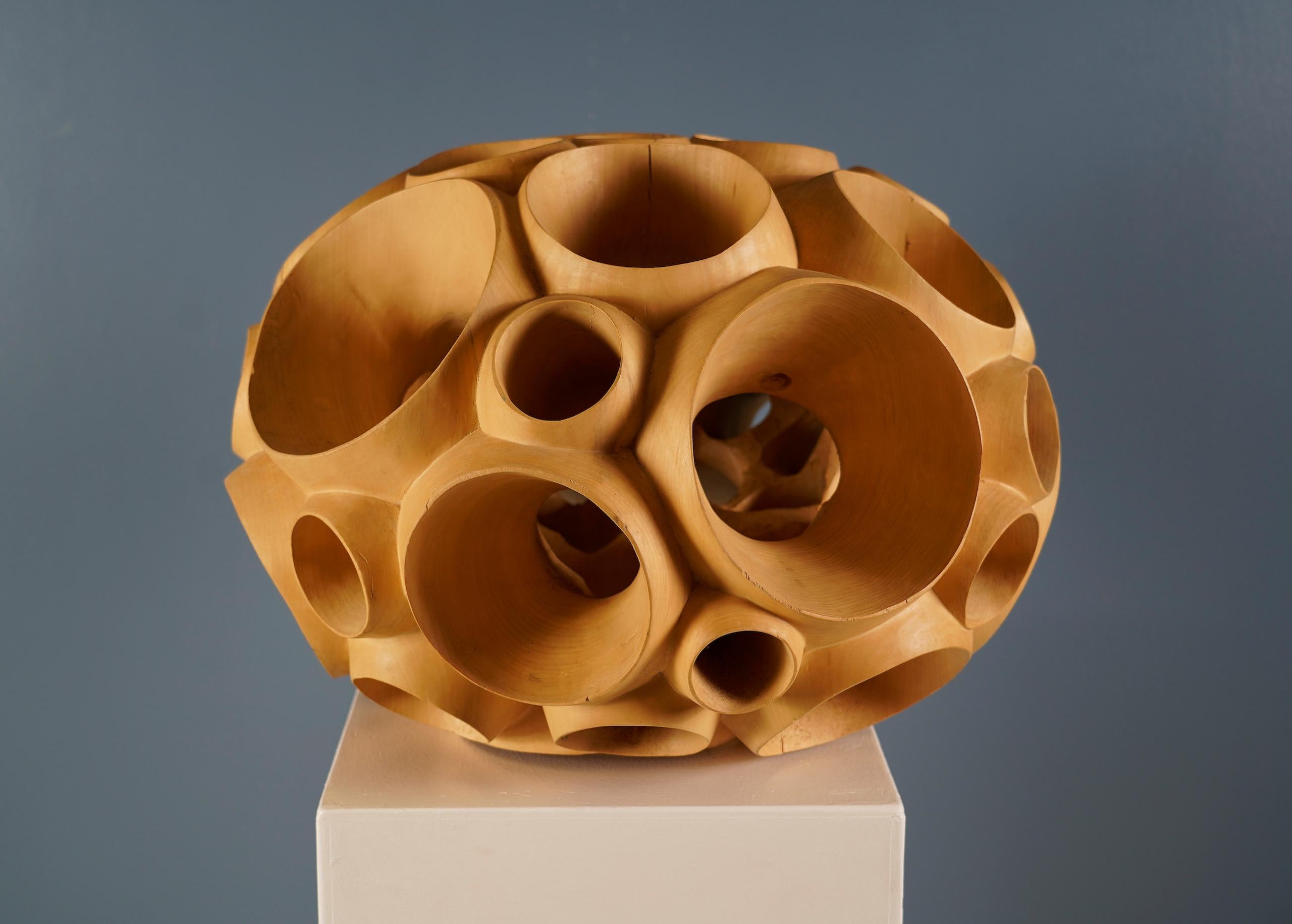 Biosphere II by Wouter van der Vlugt - Wood sculpture, poplar, movement, shape For Sale 3