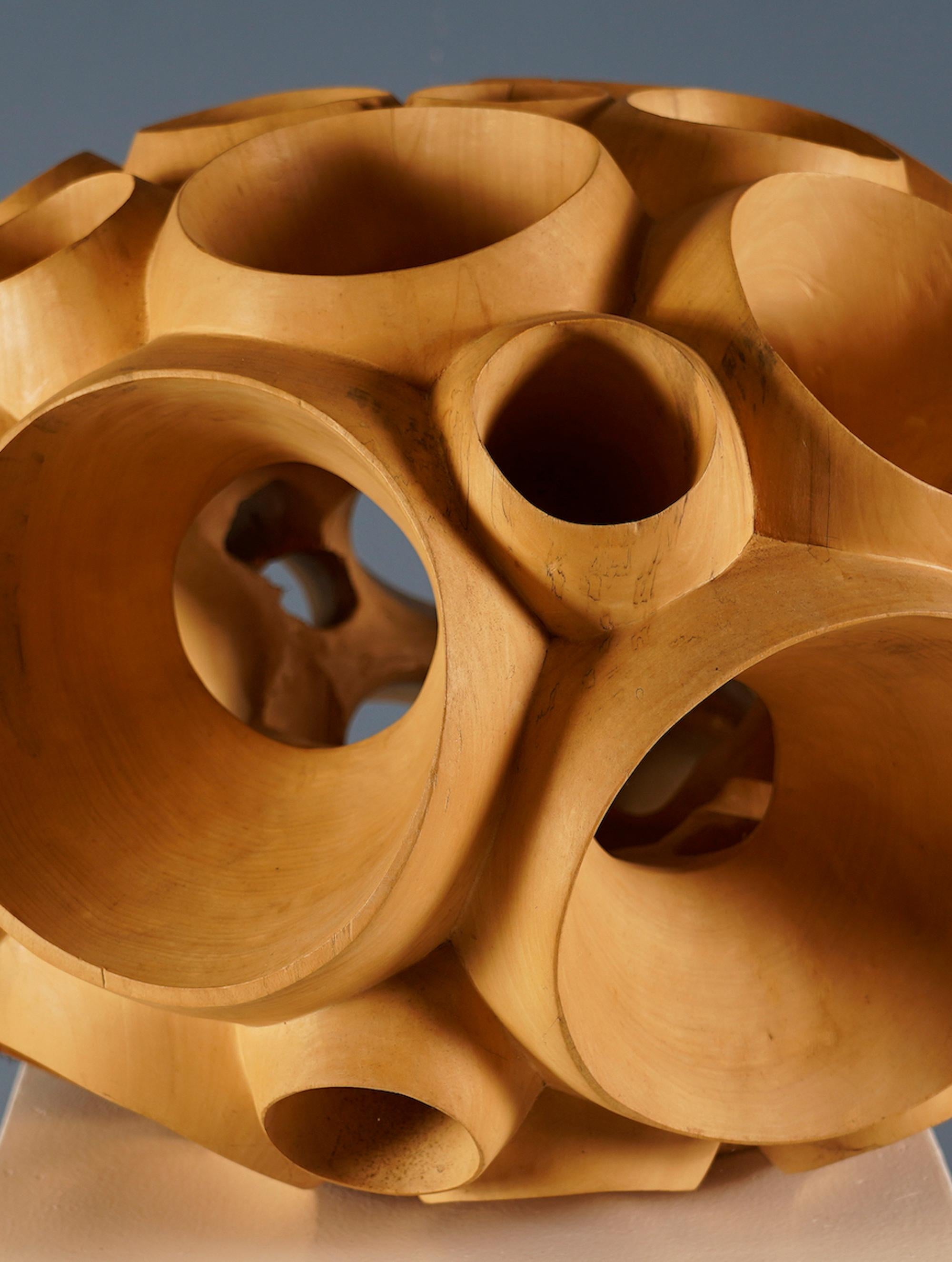 Biosphere II by Wouter van der Vlugt - Wood sculpture, poplar, movement, shape For Sale 4