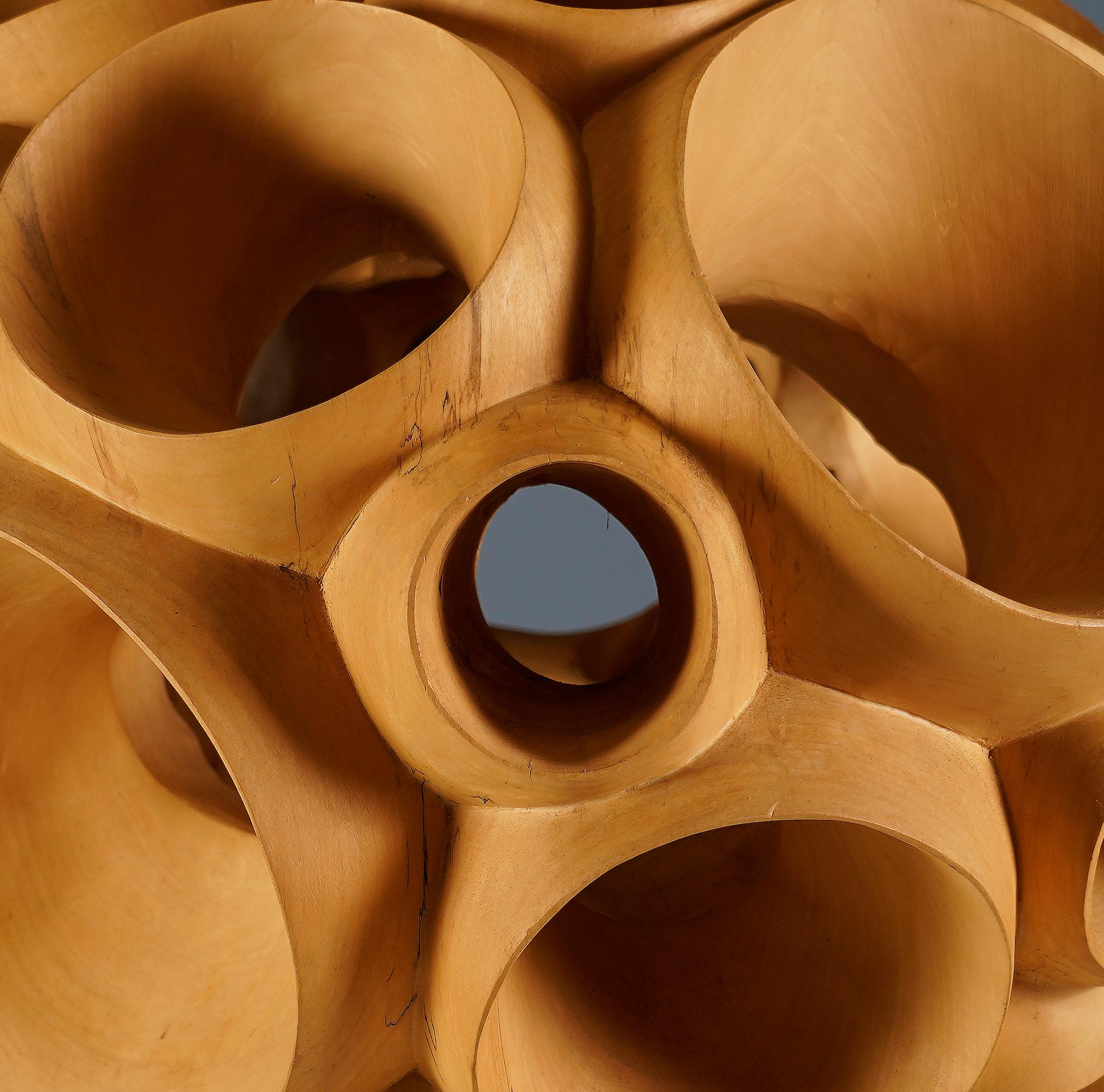 Biosphere II by Wouter van der Vlugt - Wood sculpture, poplar, movement, shape For Sale 6