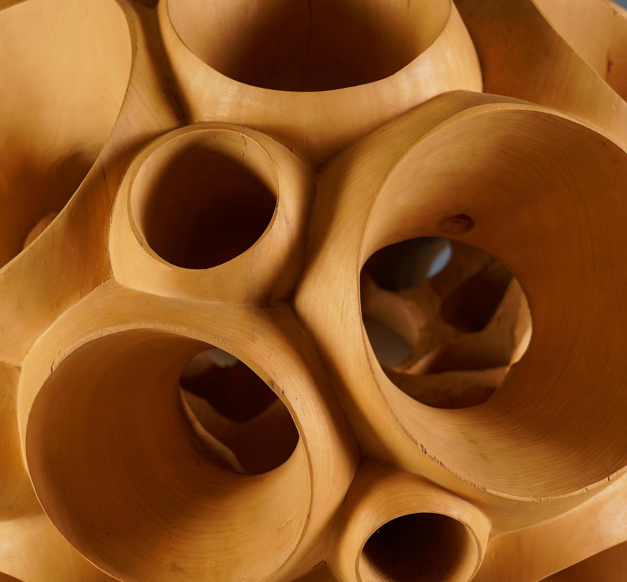 Biosphere II by Wouter van der Vlugt - Wood sculpture, poplar, movement, shape For Sale 5