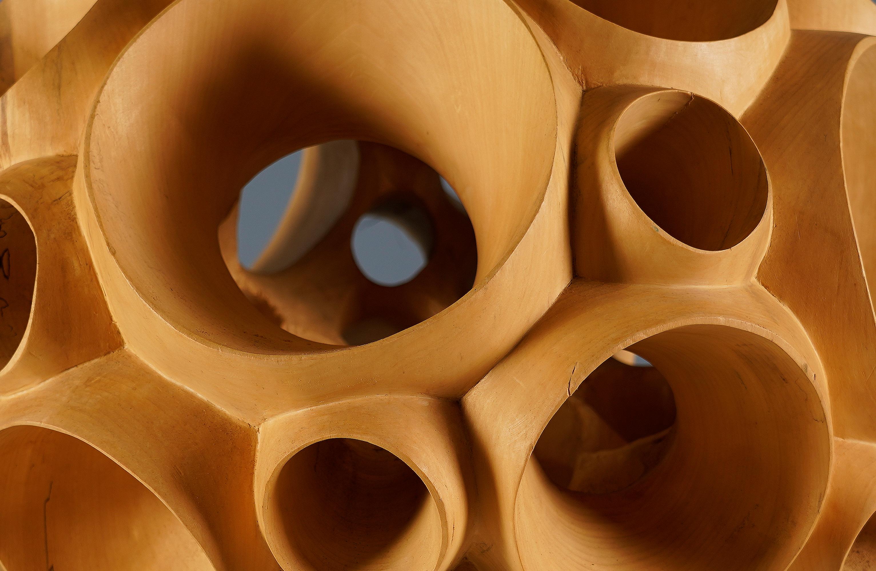 Biosphere II by Wouter van der Vlugt - Wood sculpture, poplar, movement, shape For Sale 7