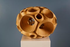 Biosphere II di Wouter van der Vlugt - Scultura in legno, pioppo, movimento, forma