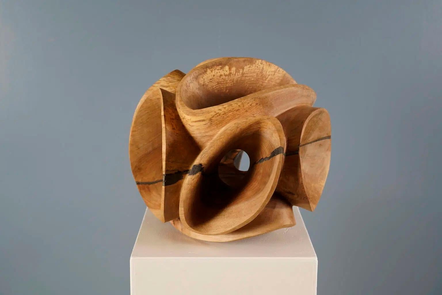 Blossom II by Wouter van der Vlugt - Wood sculpture, round, movement, shape For Sale 1