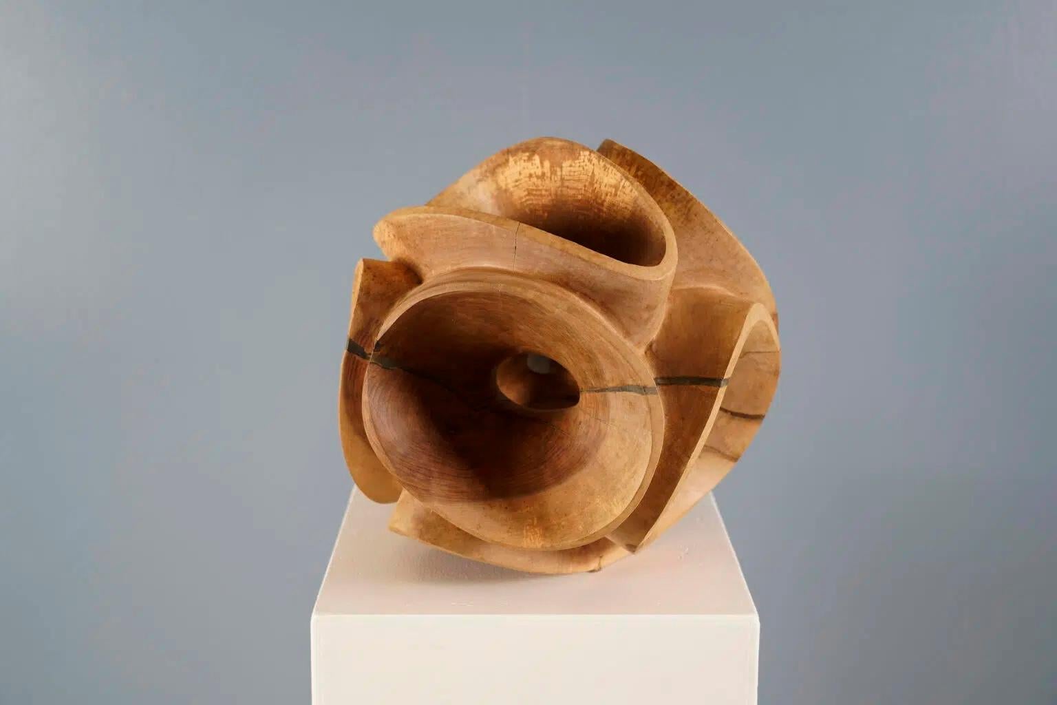 Blossom II by Wouter van der Vlugt - Wood sculpture, round, movement, shape For Sale 2