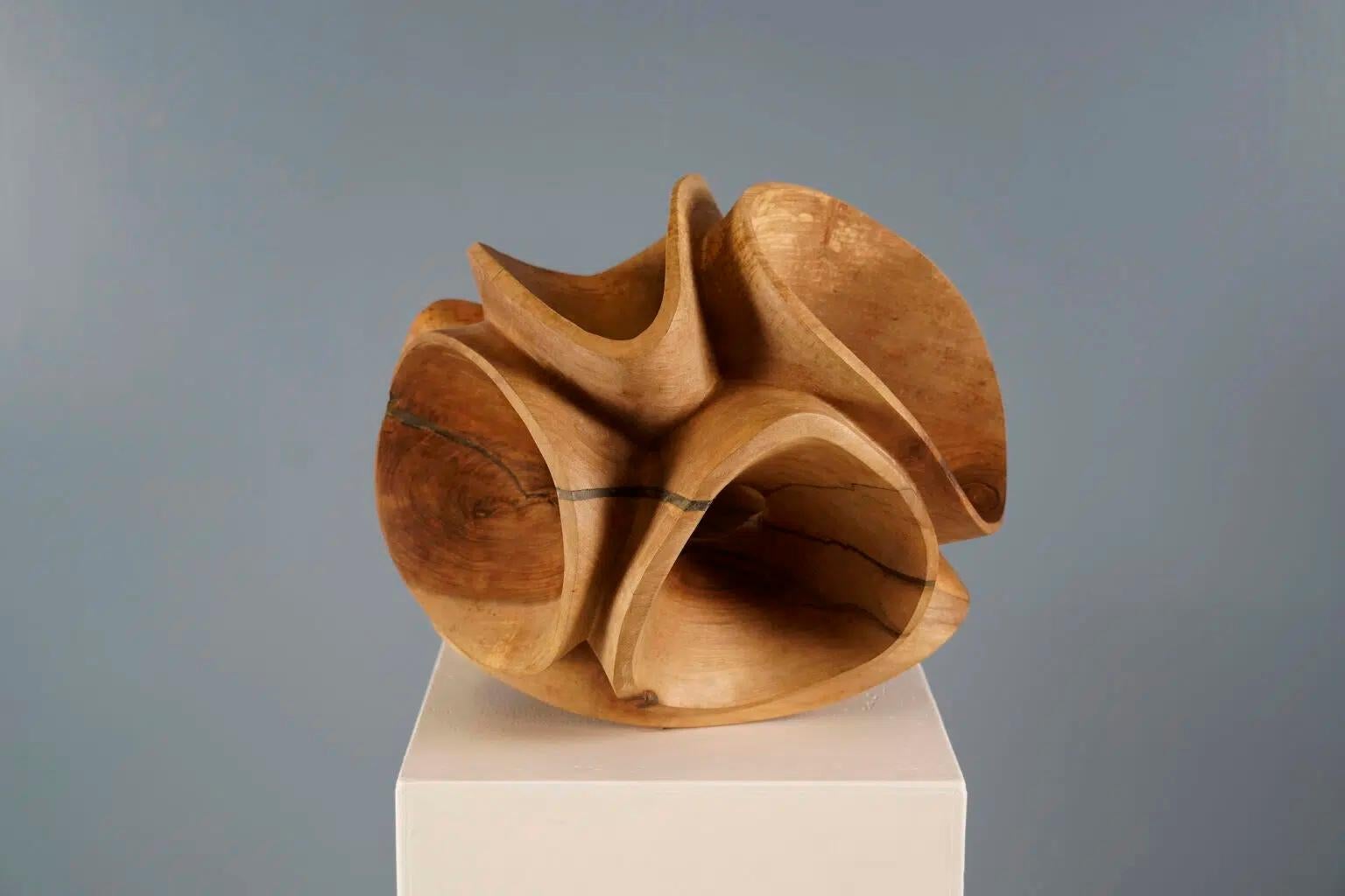 Blossom II by Wouter van der Vlugt - Wood sculpture, round, movement, shape For Sale 3