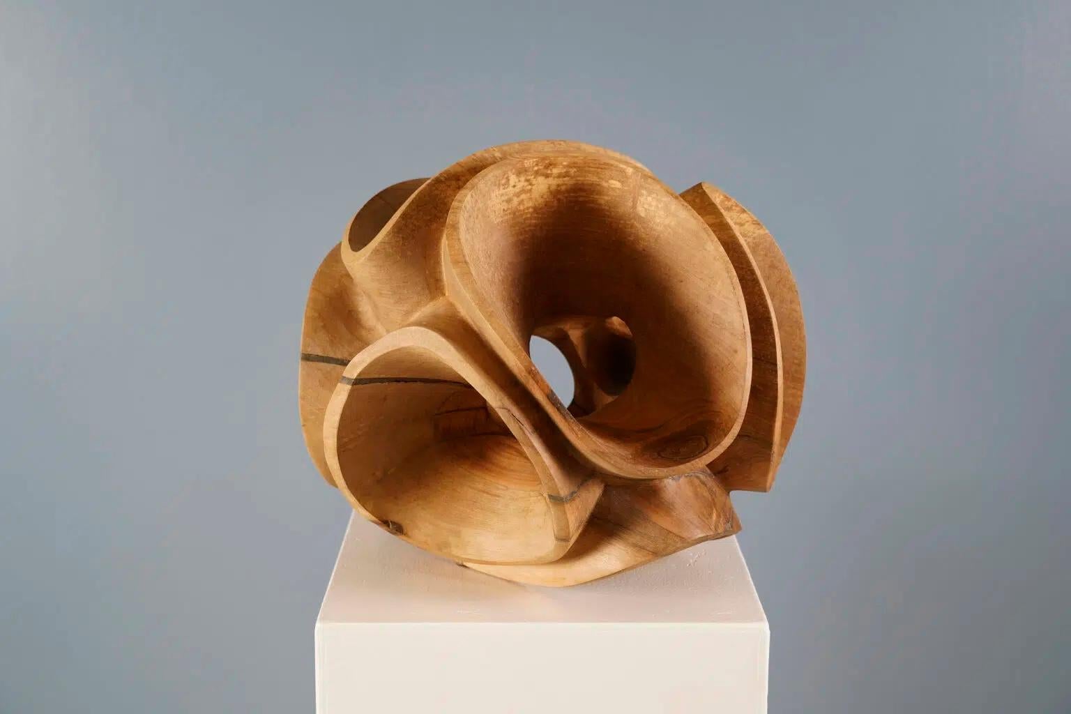 Blossom II by Wouter van der Vlugt - Wood sculpture, round, movement, shape For Sale 4