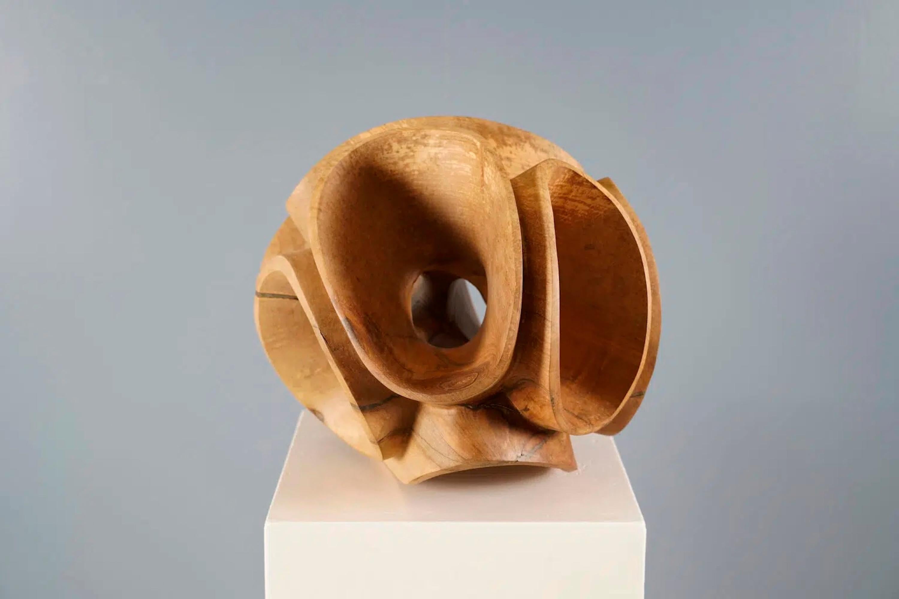 Blossom II by Wouter van der Vlugt - Wood sculpture, round, movement, shape