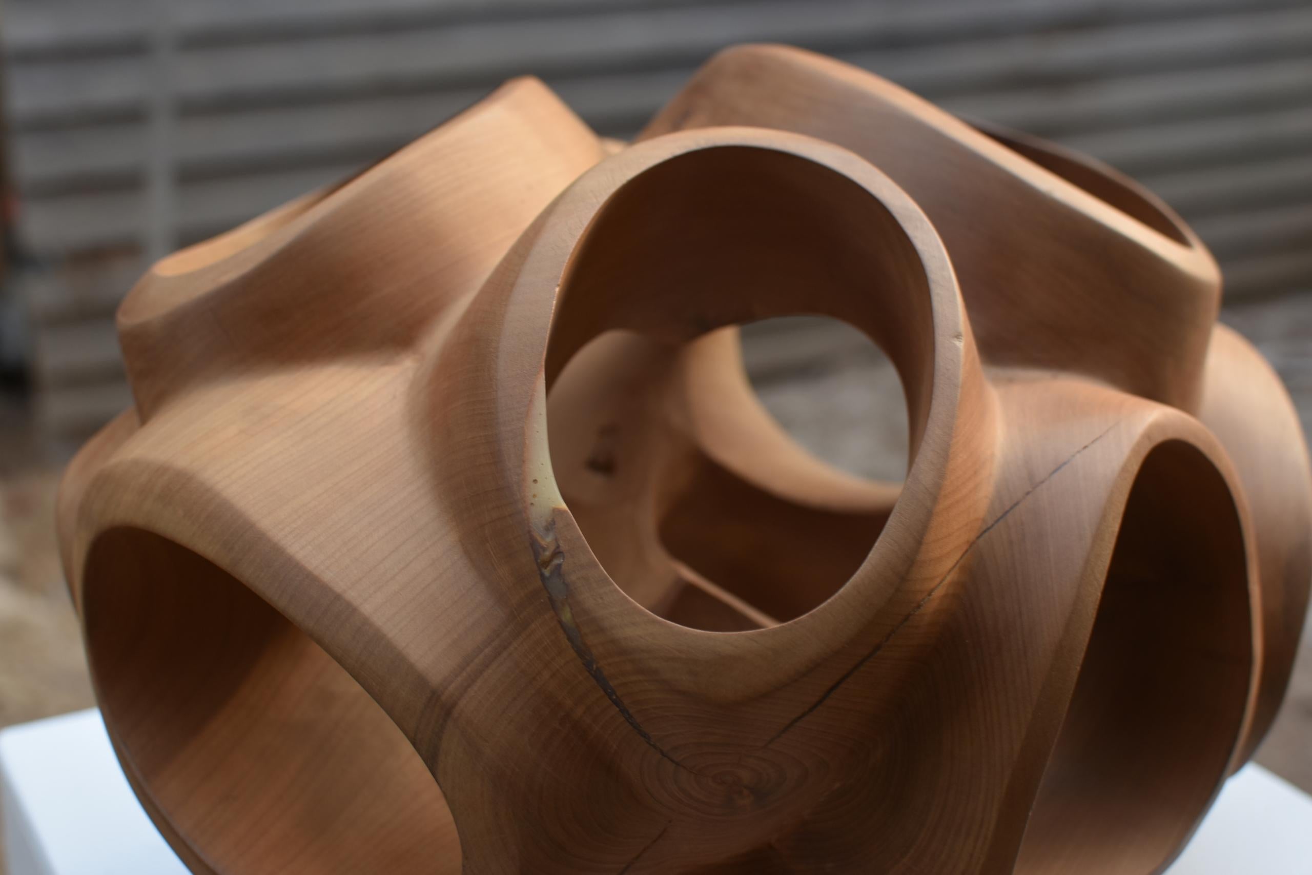Blossom III by Wouter van der Vlugt - Wood sculpture, cherry, movement, shape For Sale 9
