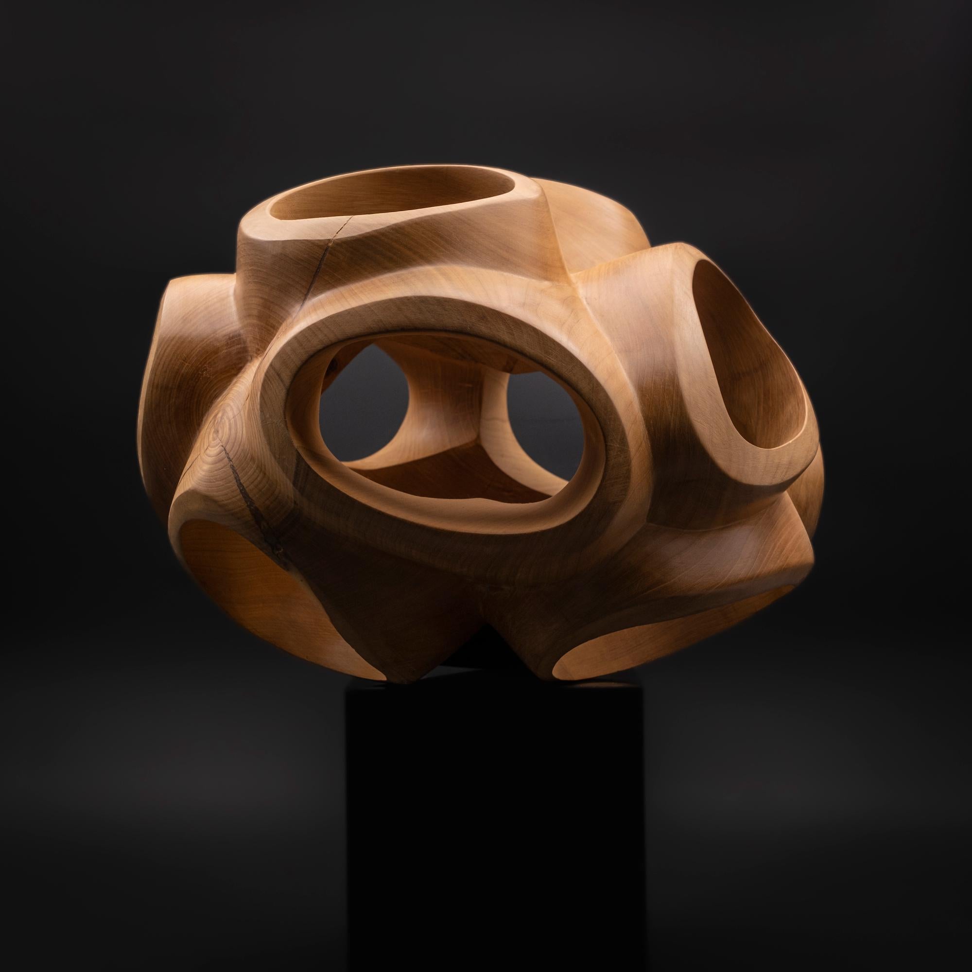 Blossom III by Wouter van der Vlugt - Wood sculpture, cherry, movement, shape For Sale 1