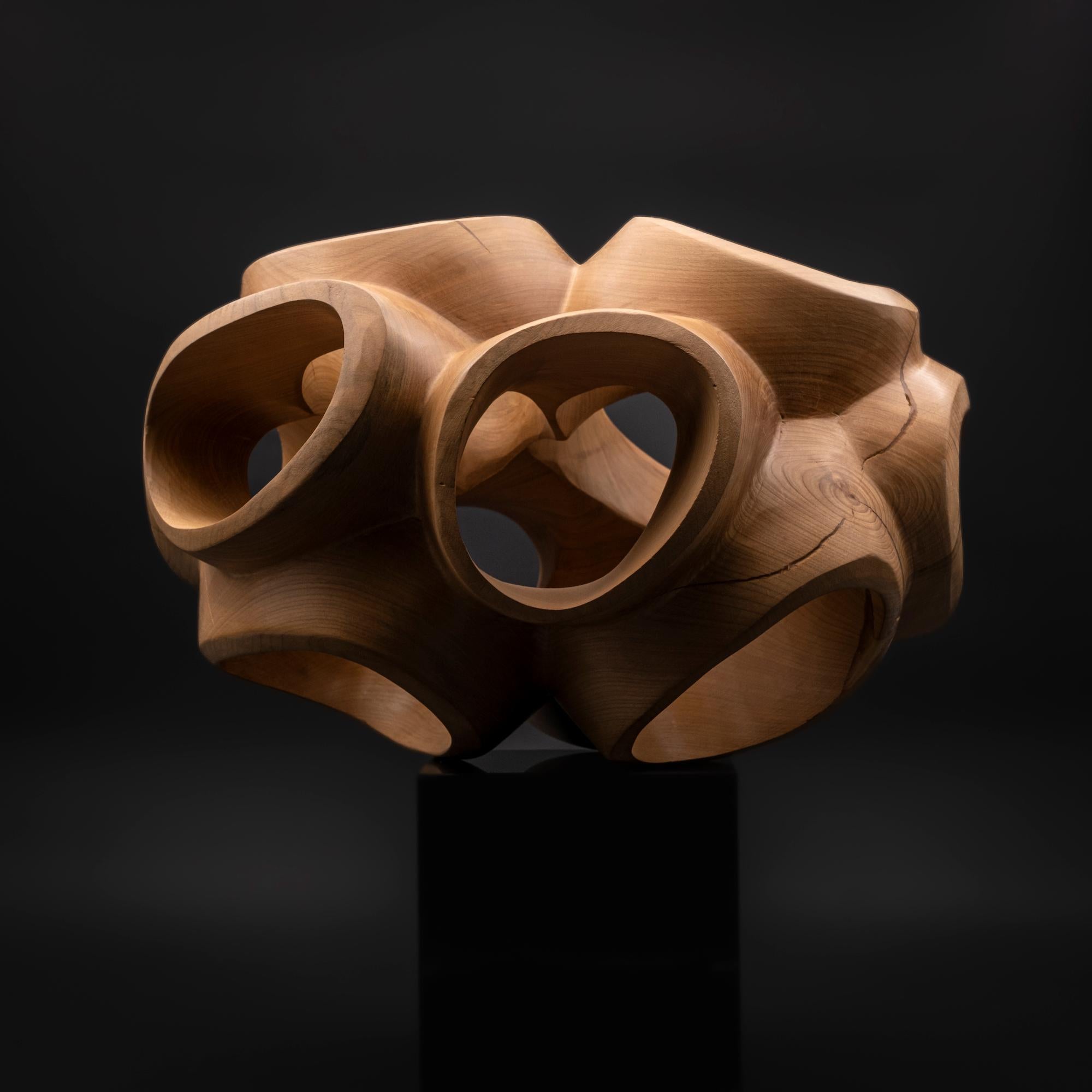 Blossom III by Wouter van der Vlugt - Wood sculpture, cherry, movement, shape For Sale 2