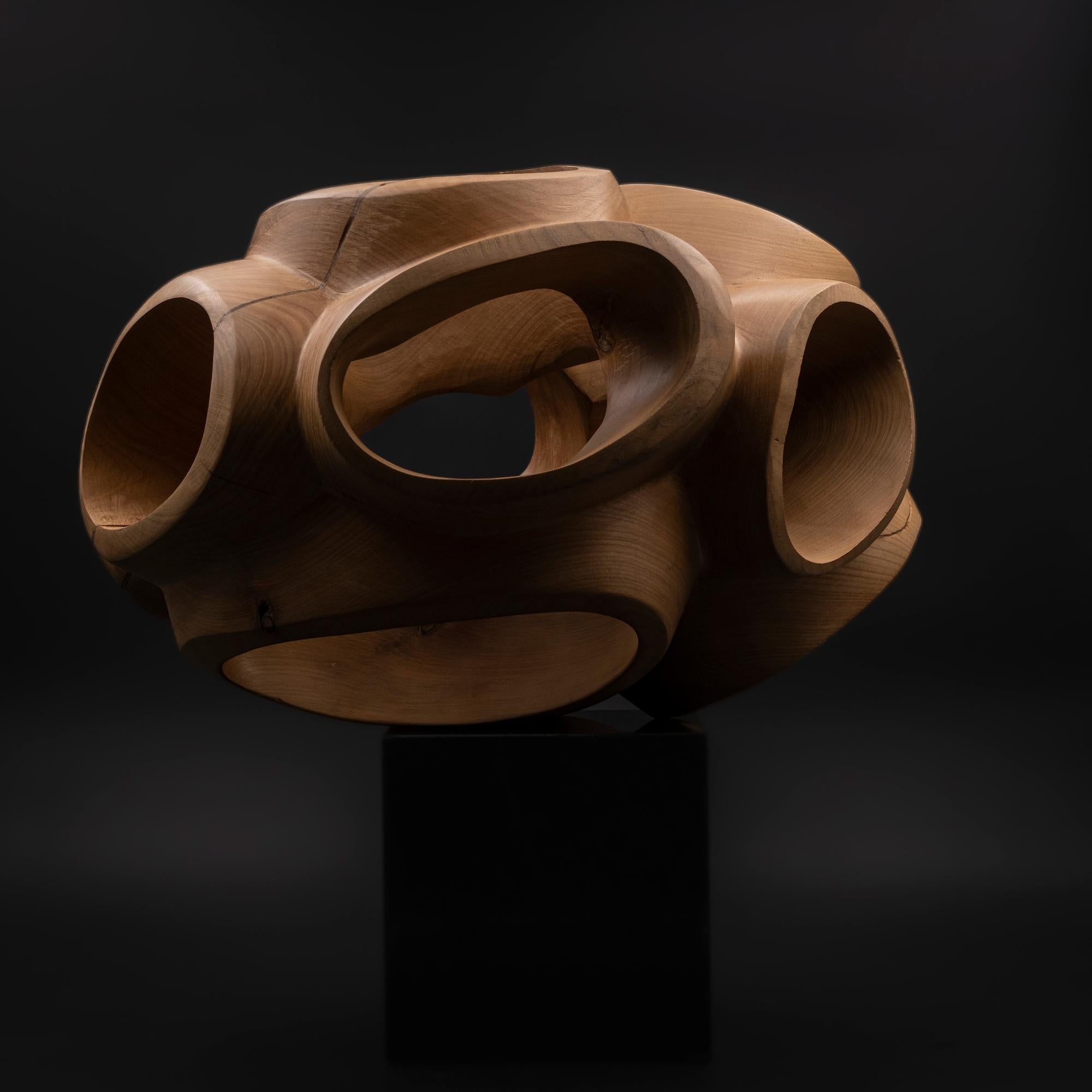 Blossom III by Wouter van der Vlugt - Wood sculpture, cherry, movement, shape For Sale 3