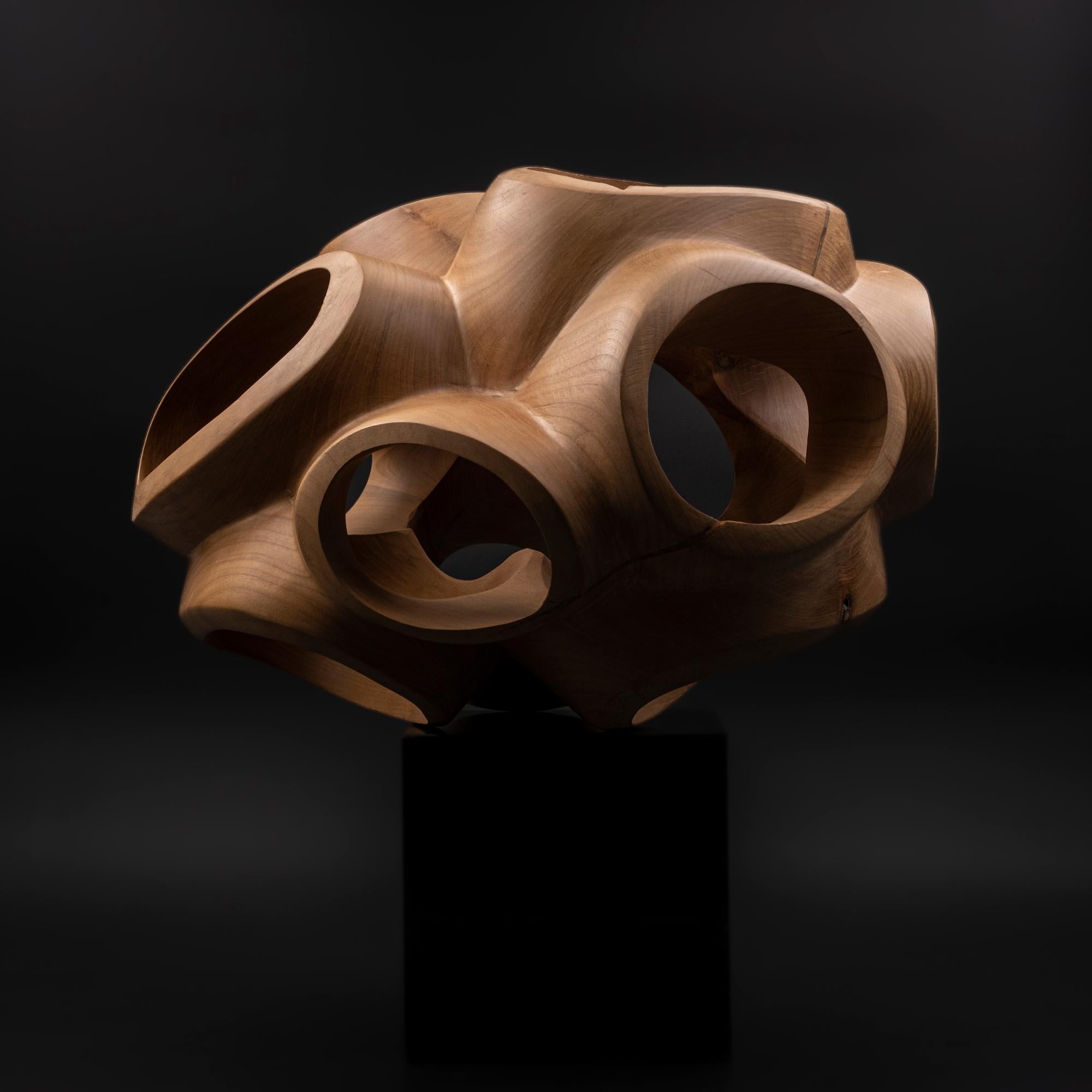 Blossom III by Wouter van der Vlugt - Wood sculpture, cherry, movement, shape For Sale 5