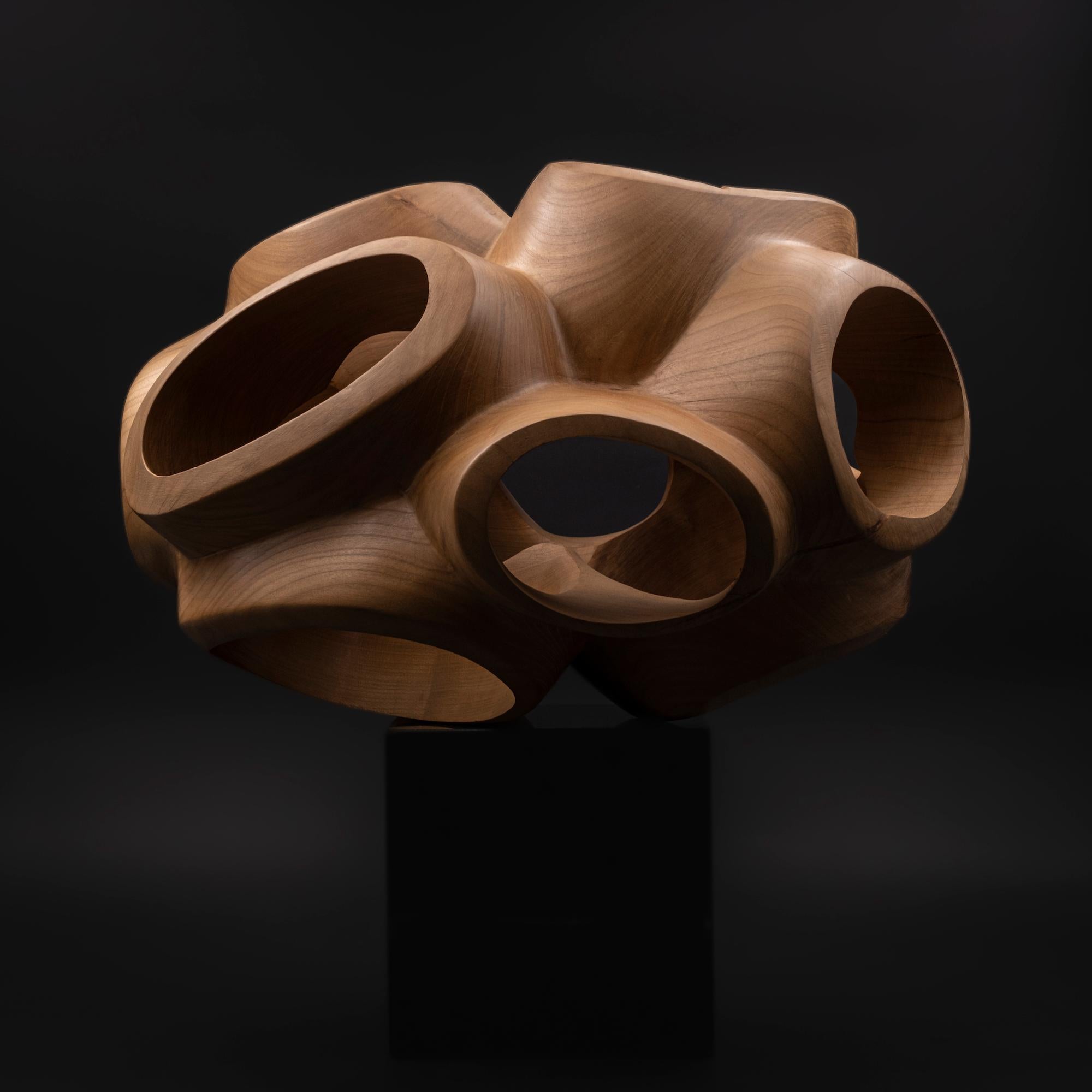 Blossom III by Wouter van der Vlugt - Wood sculpture, cherry, movement, shape For Sale 6