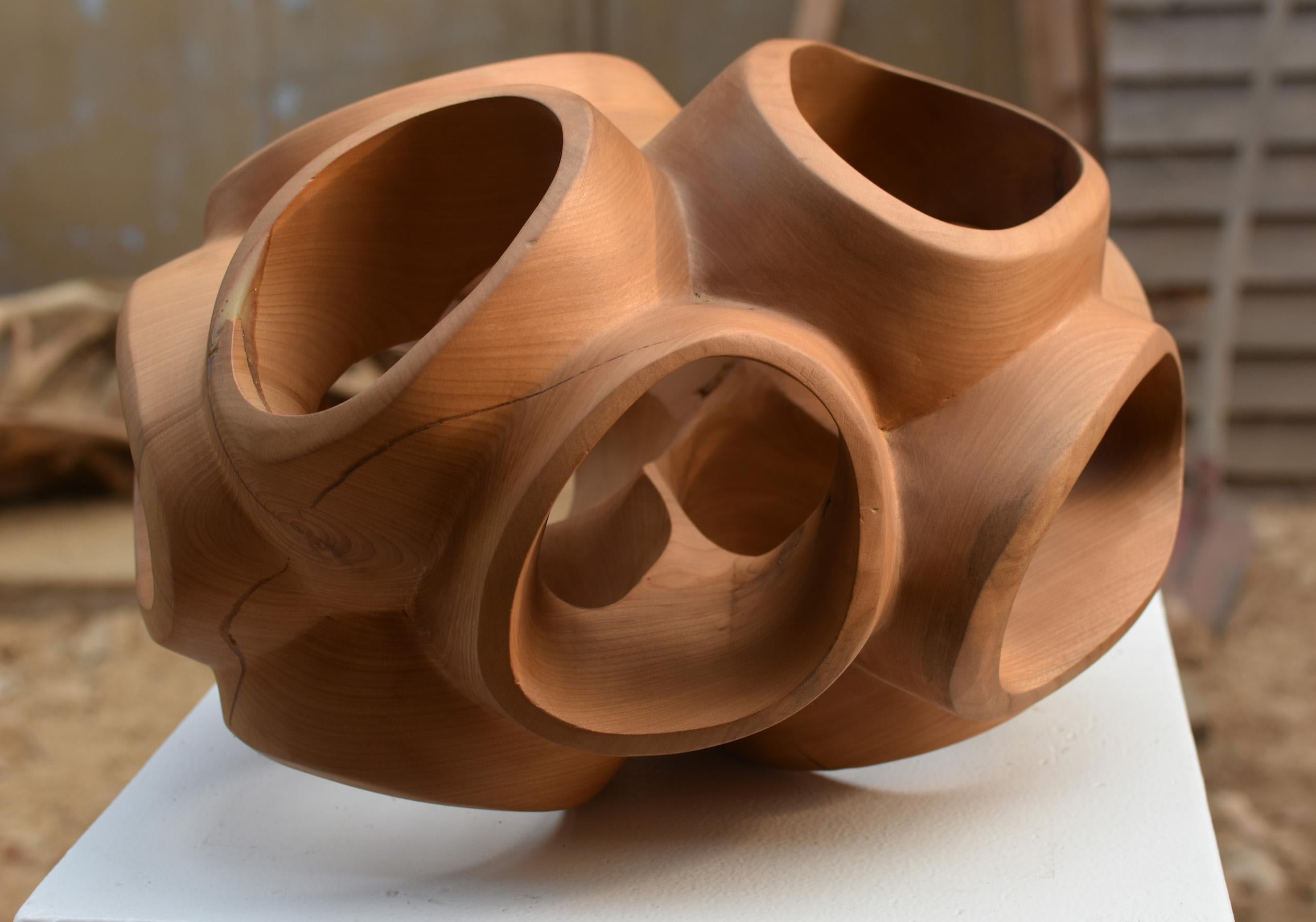 Blossom III by Wouter van der Vlugt - Wood sculpture, cherry, movement, shape For Sale 8