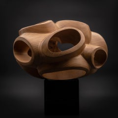 Blossom III de Wouter van der Vlugt, sculpture en bois, cerisier, mouvement, forme