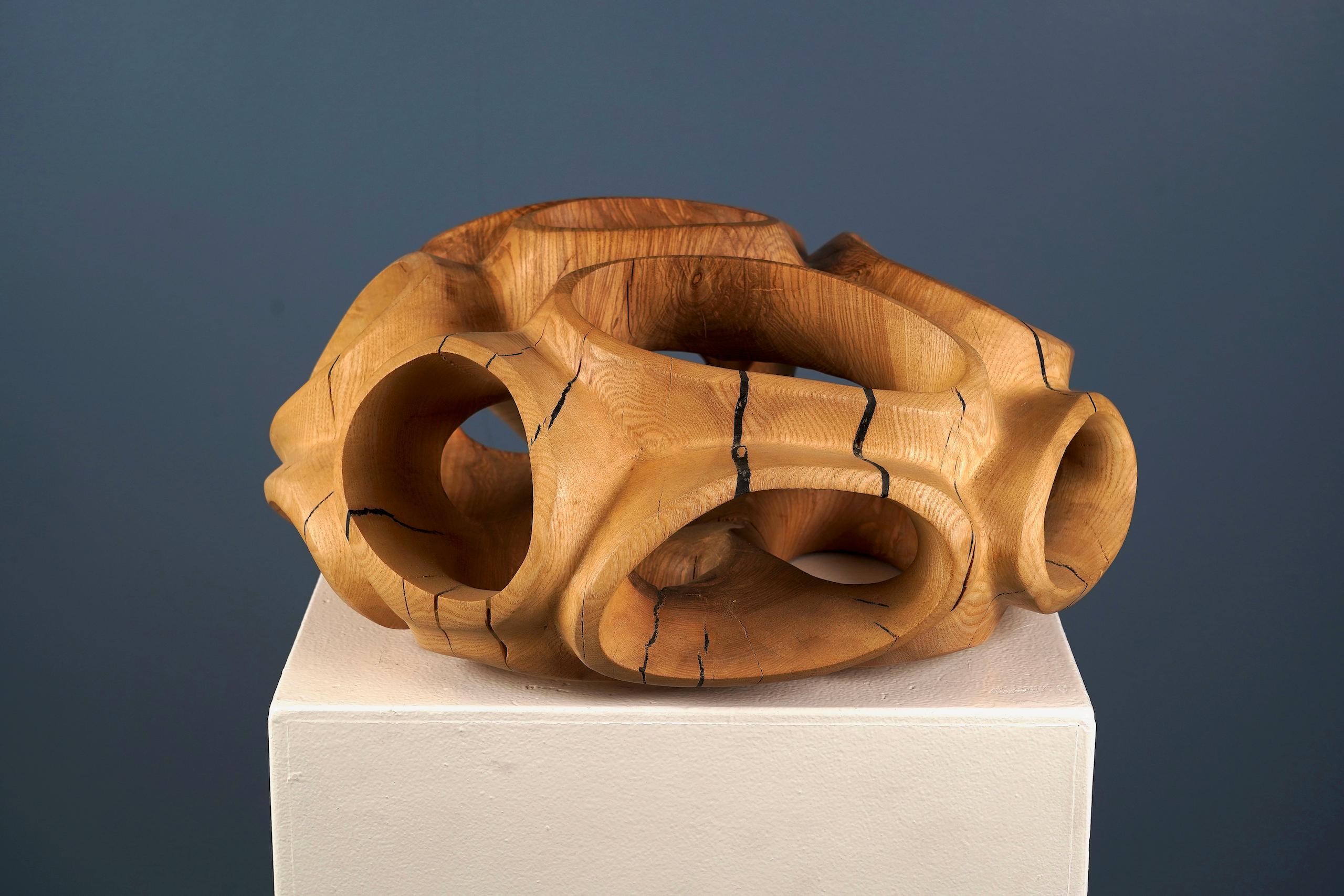 Blossom IV di Wouter van der Vlugt - Scultura in legno, rotonda, movimento, forma in vendita 9