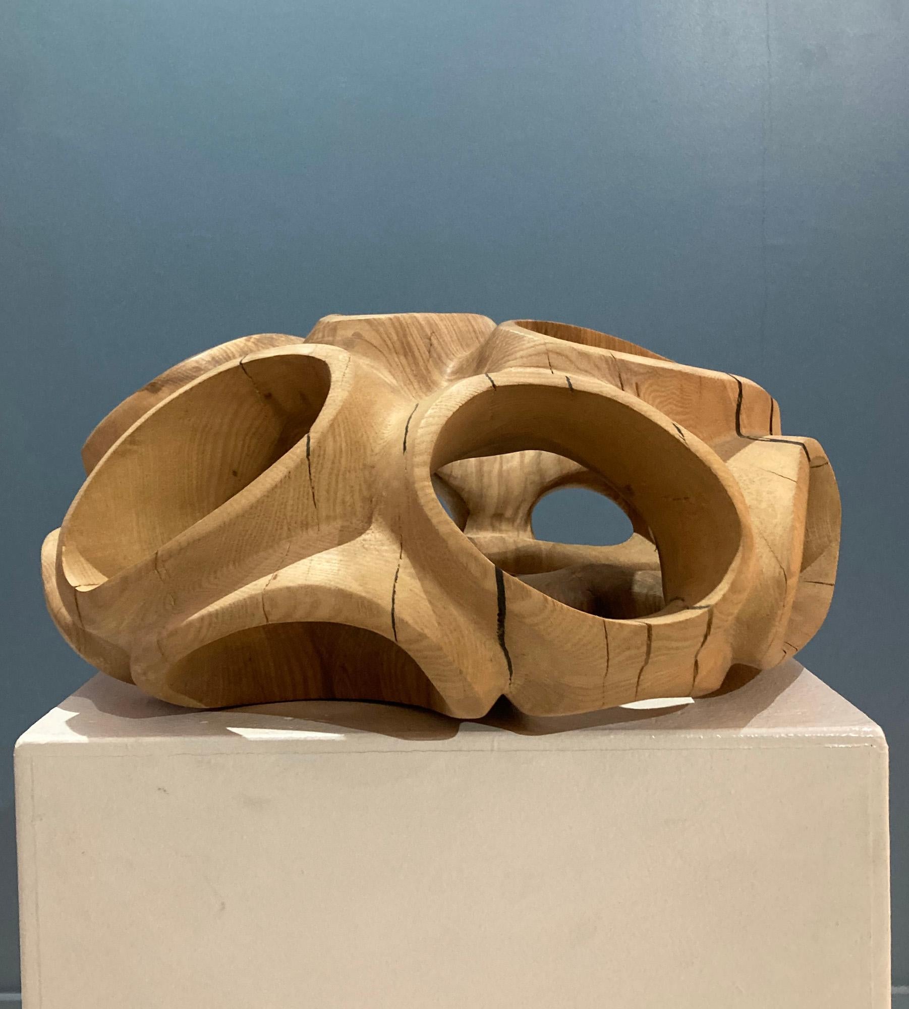 Blossom IV by Wouter van der Vlugt - Wood sculpture, round, movement, shape For Sale 10