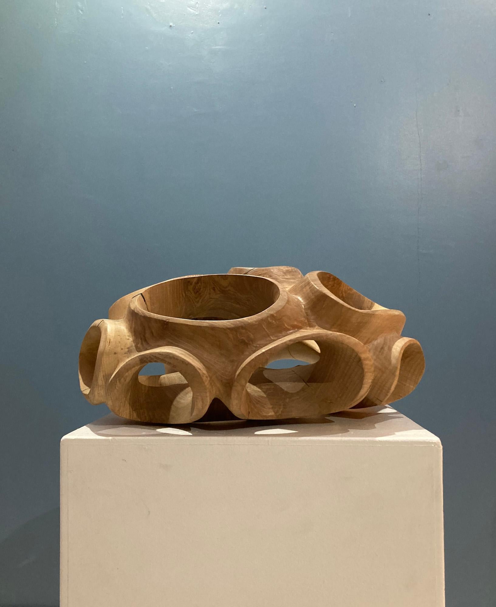 Blossom IV di Wouter van der Vlugt - Scultura in legno, rotonda, movimento, forma in vendita 12