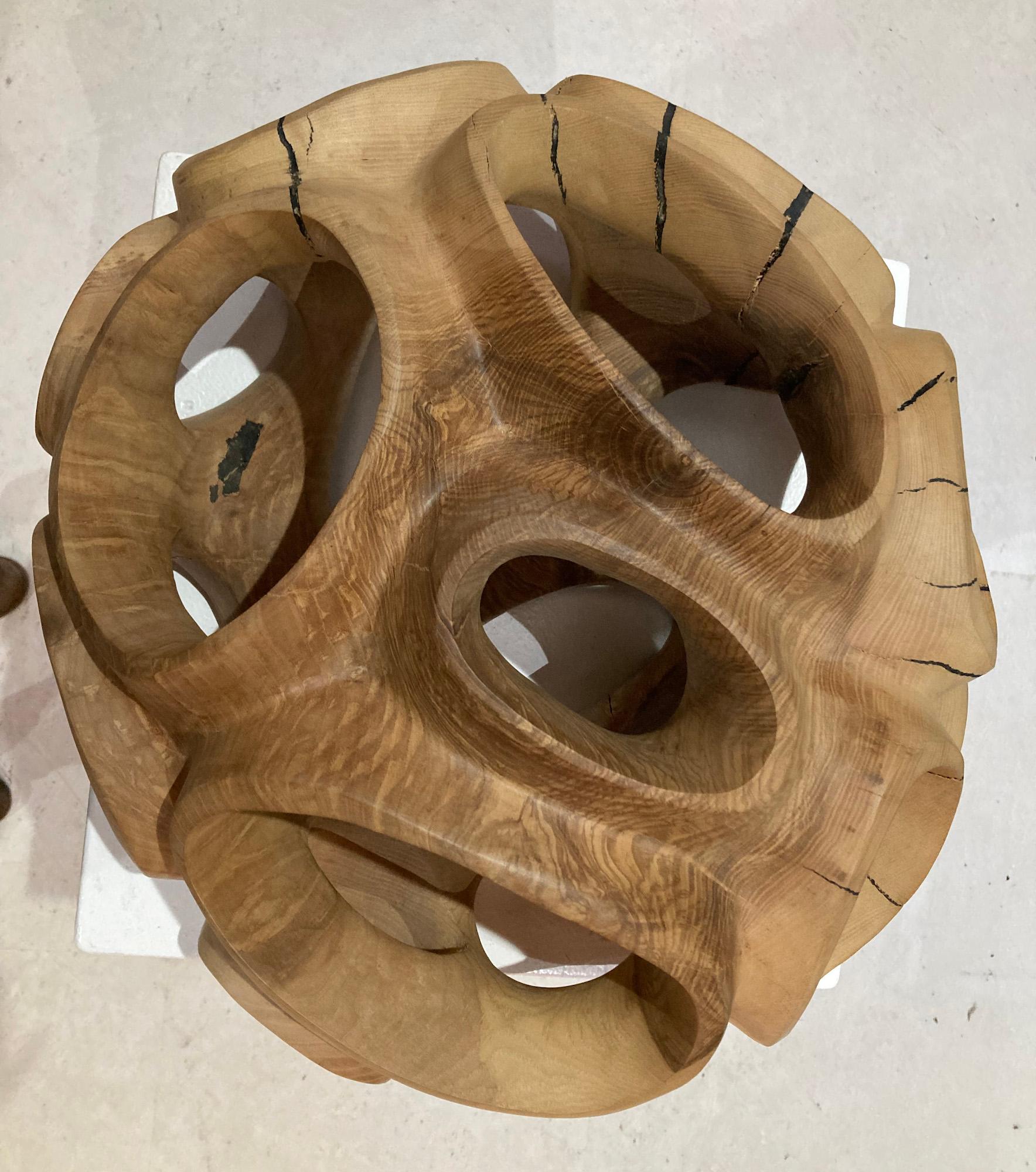 Blossom IV di Wouter van der Vlugt - Scultura in legno, rotonda, movimento, forma in vendita 13