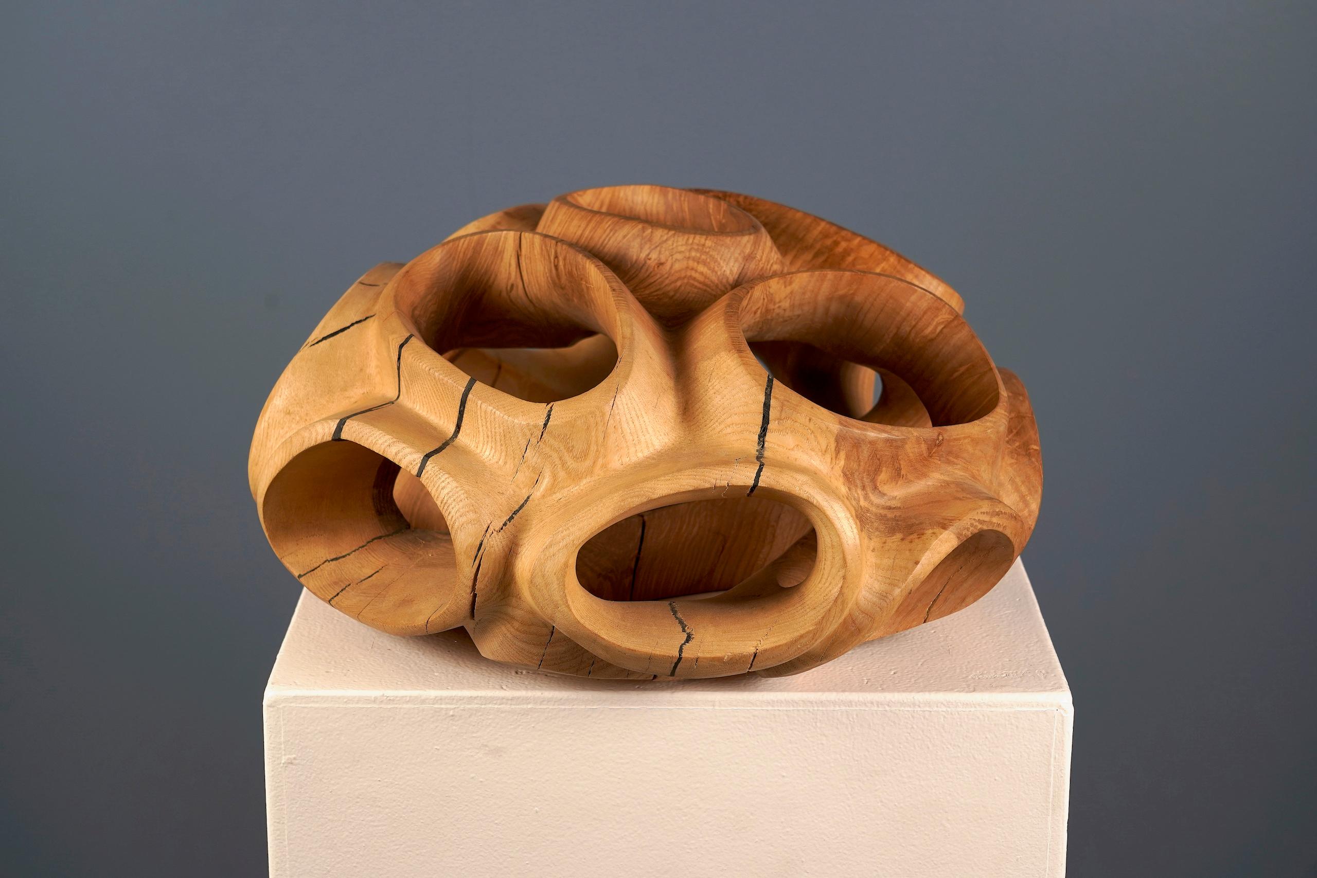 Blossom IV di Wouter van der Vlugt - Scultura in legno, rotonda, movimento, forma in vendita 1