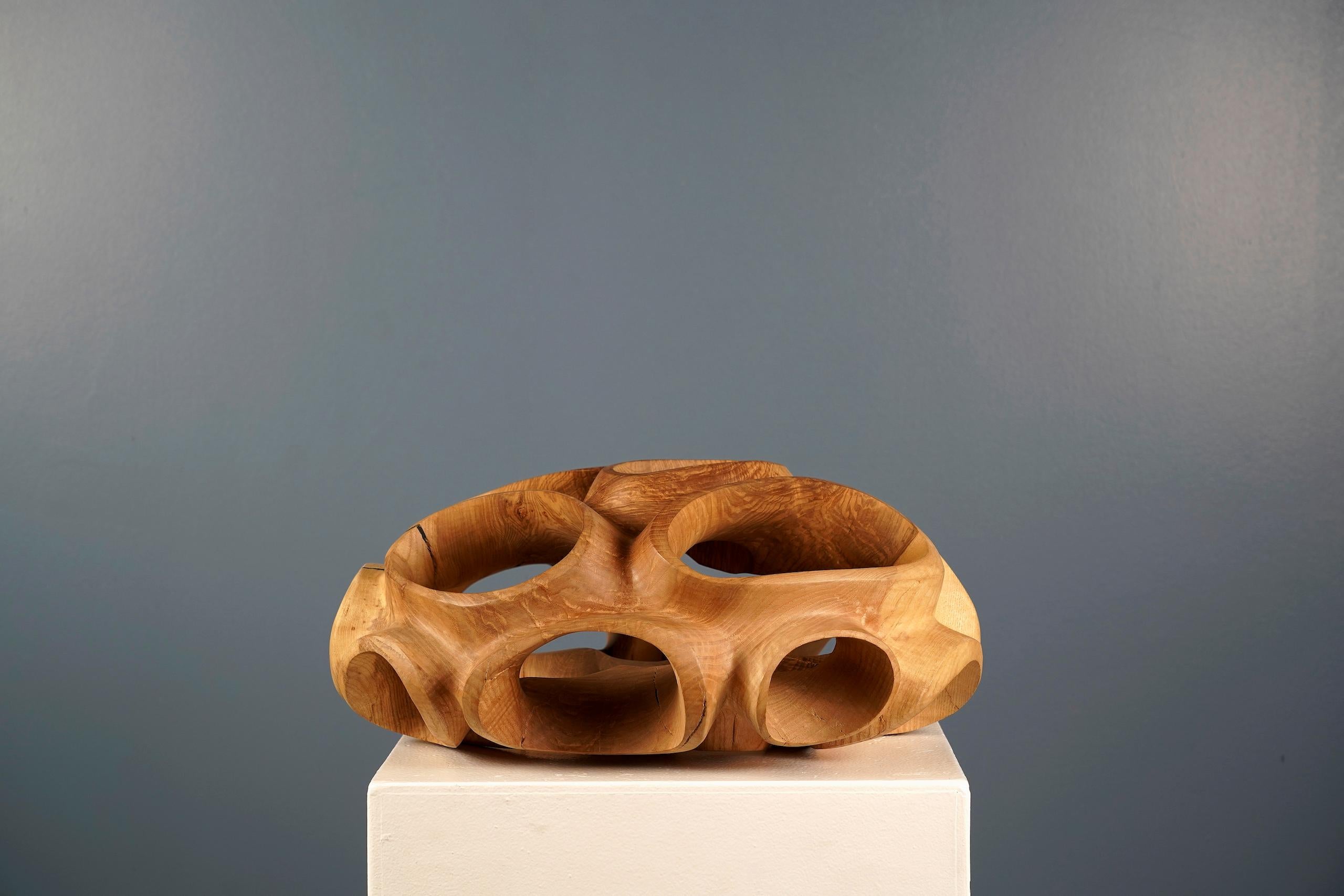 Blossom IV di Wouter van der Vlugt - Scultura in legno, rotonda, movimento, forma in vendita 3