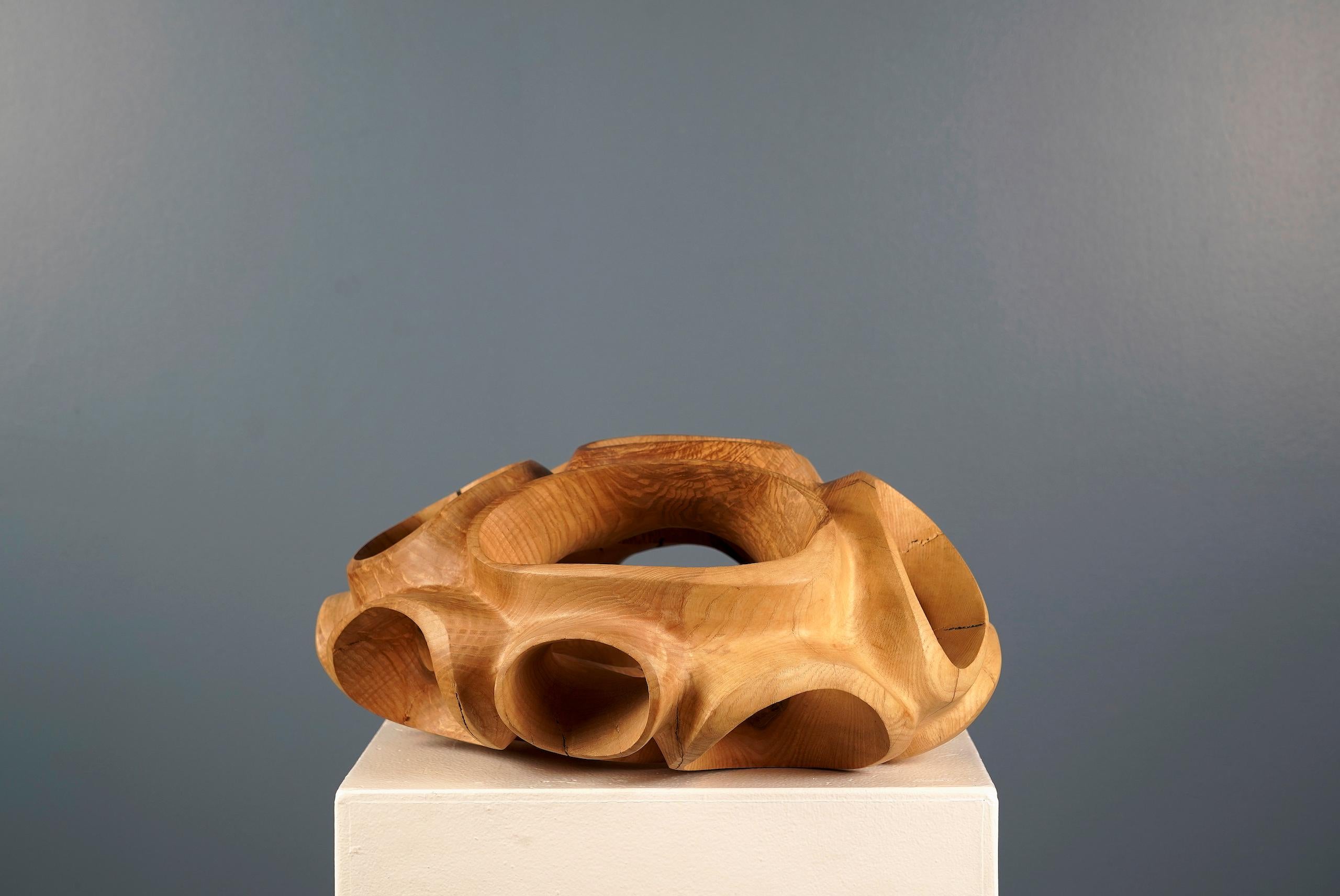 Blossom IV di Wouter van der Vlugt - Scultura in legno, rotonda, movimento, forma in vendita 4