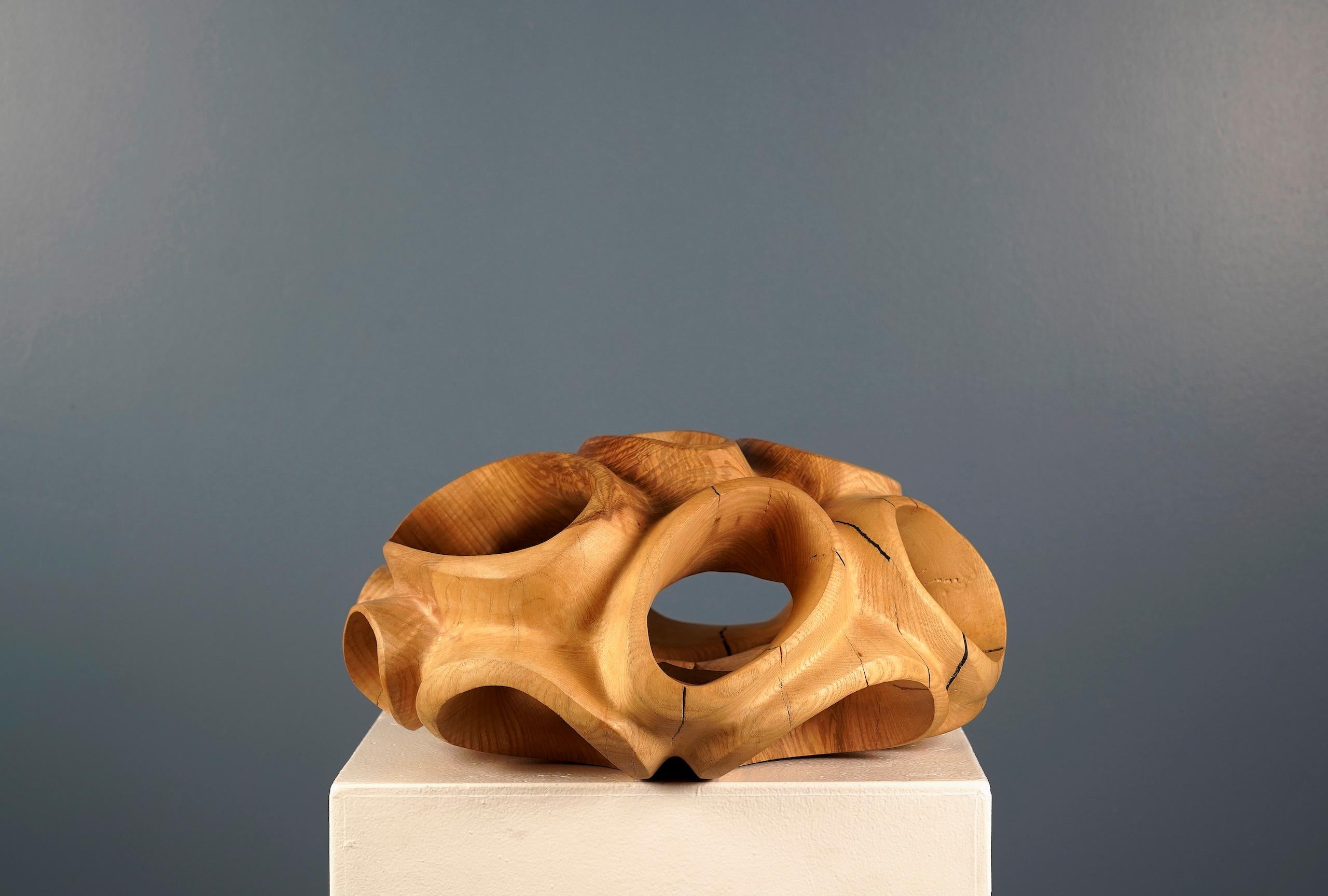 Blossom IV di Wouter van der Vlugt - Scultura in legno, rotonda, movimento, forma in vendita 5
