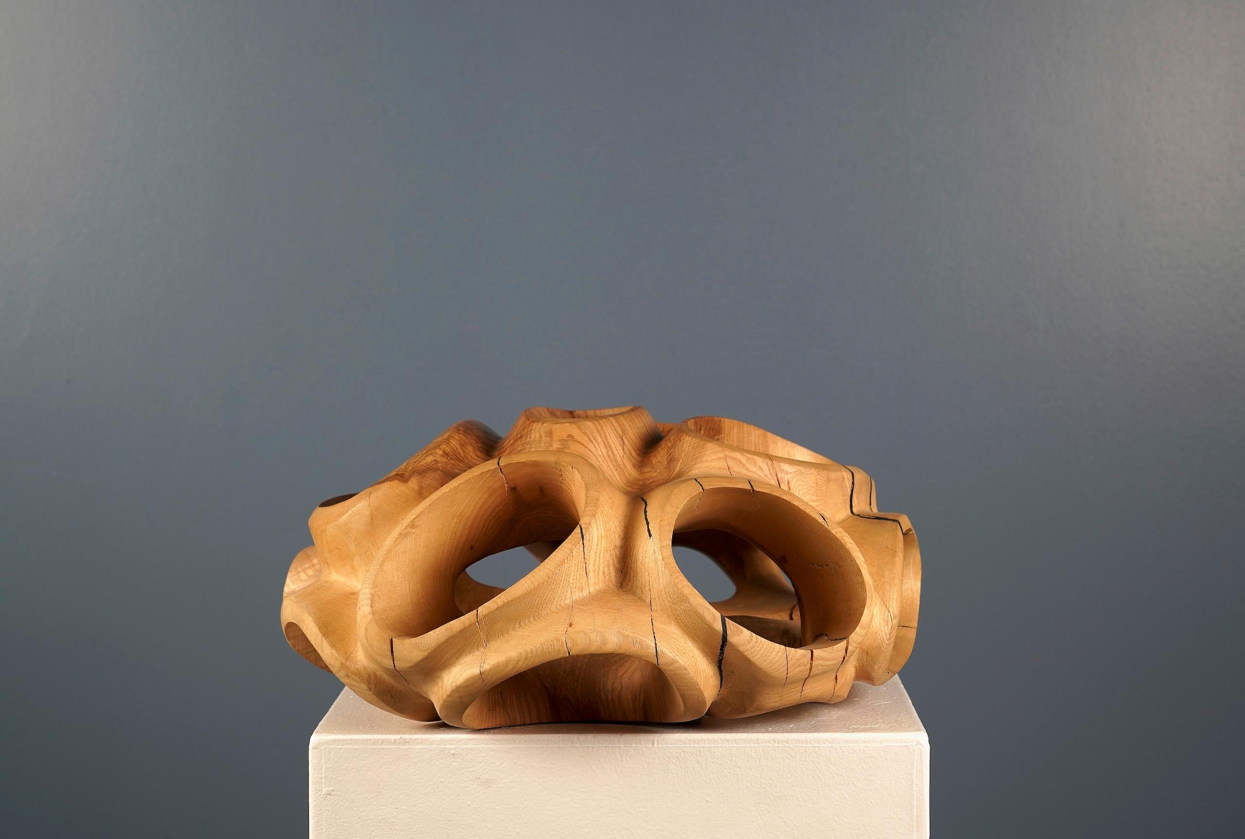 Blossom IV di Wouter van der Vlugt - Scultura in legno, rotonda, movimento, forma in vendita 6
