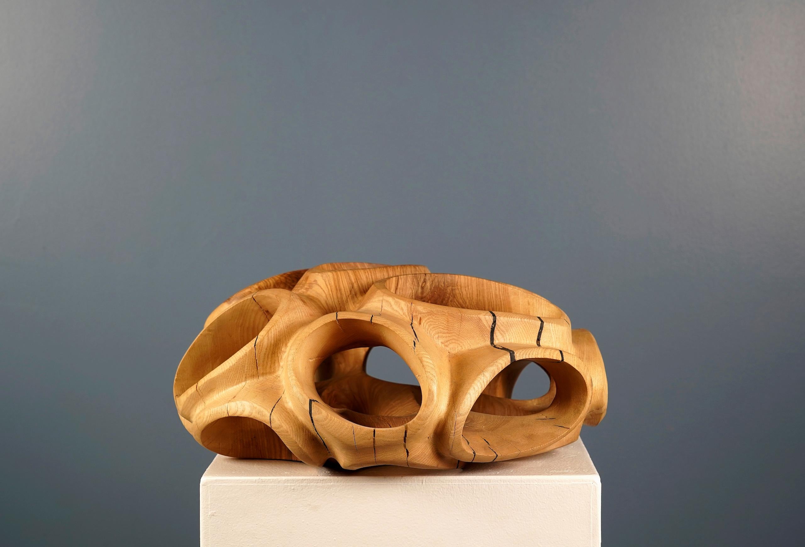 Blossom IV di Wouter van der Vlugt - Scultura in legno, rotonda, movimento, forma in vendita 7