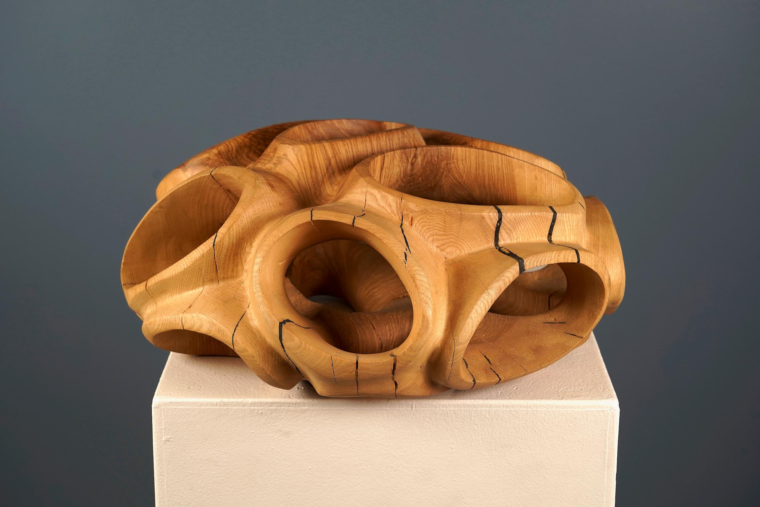Blossom IV di Wouter van der Vlugt - Scultura in legno, rotonda, movimento, forma in vendita 8