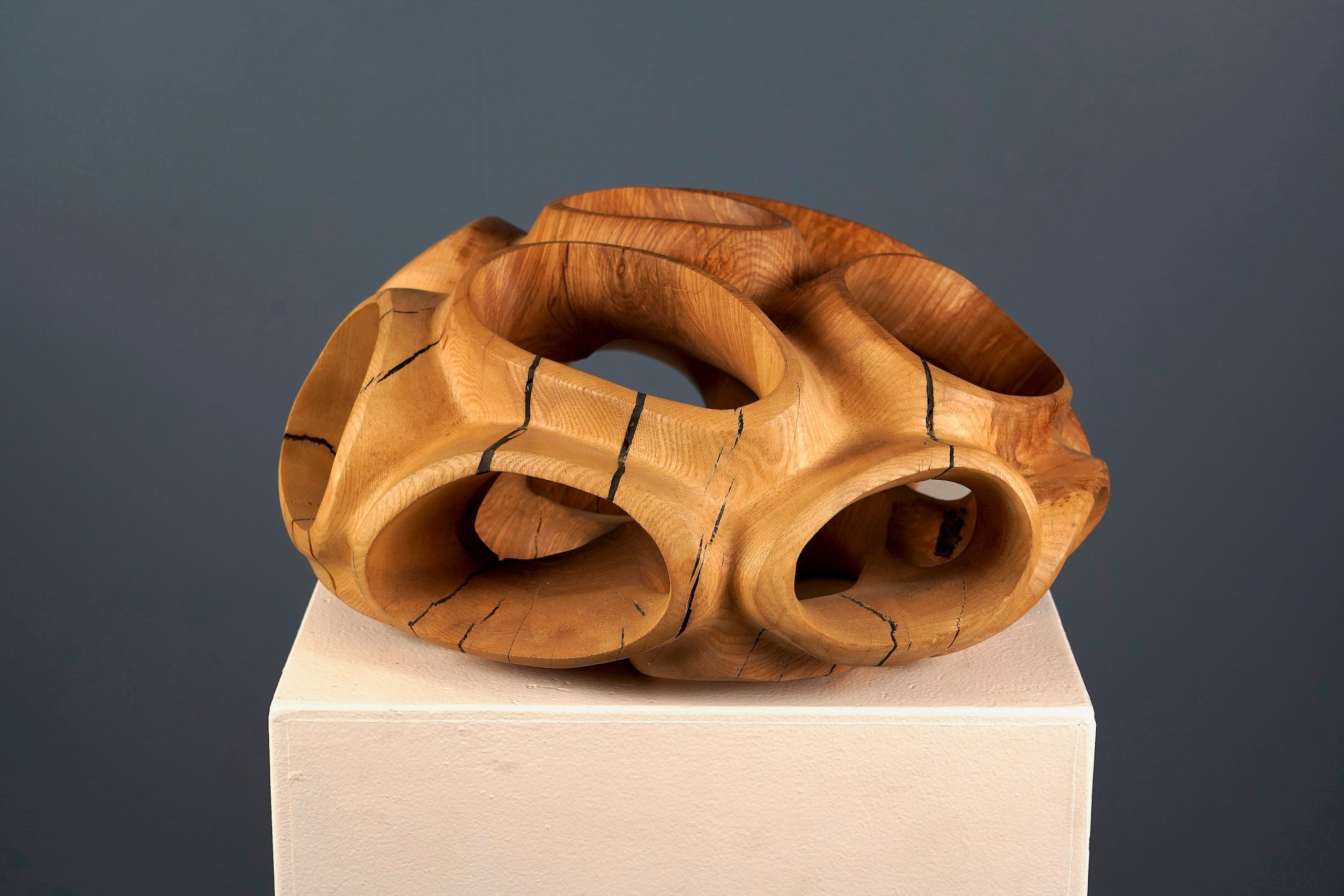 Blossom IV by Wouter van der Vlugt - Wood sculpture, round, movement, shape