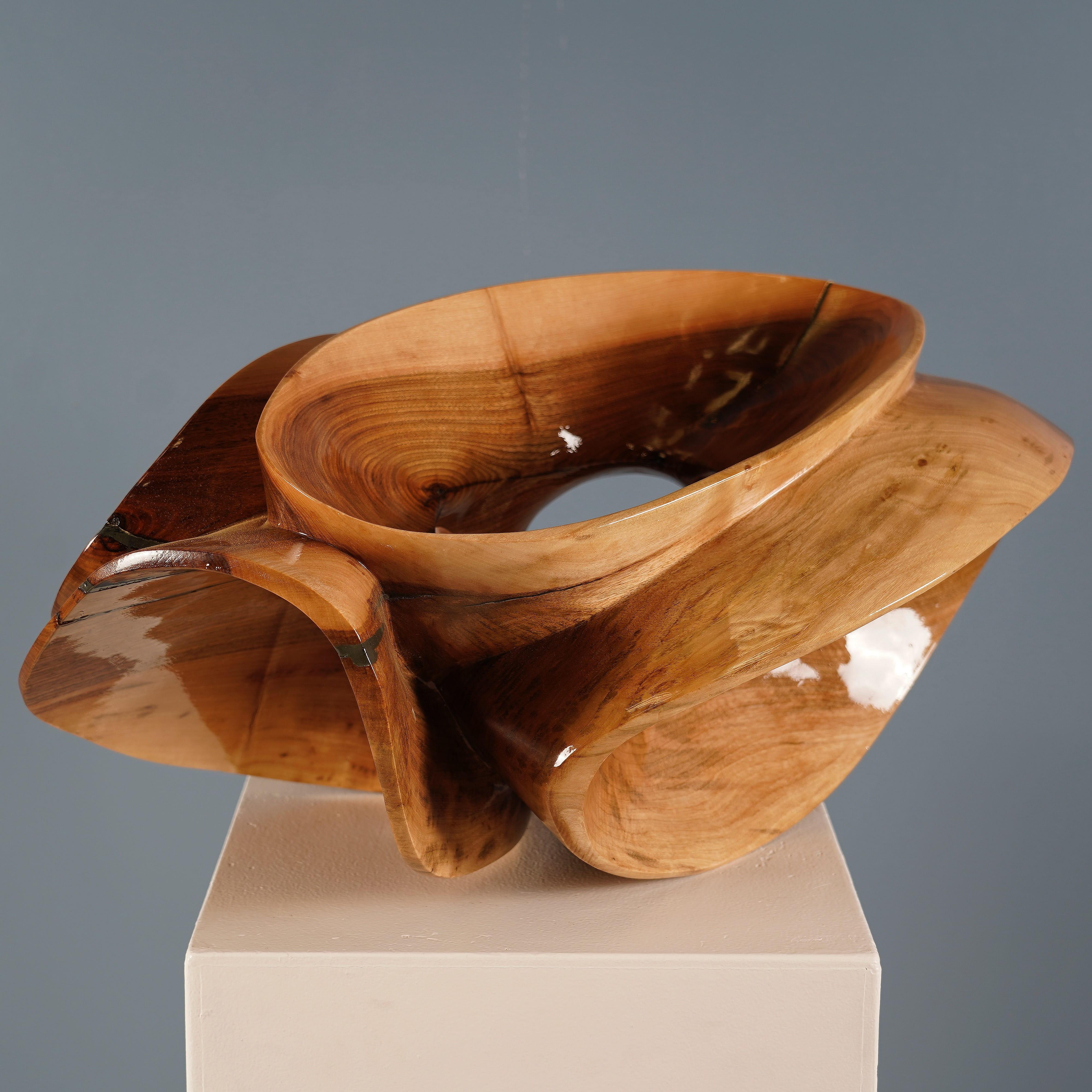 Blossom V is a sculpture in lacquered walnut by the Dutch artist Wouter van der Vlugt. Dimensions are 13.8 × 27.6 × 18.9 in / 35 × 70 × 48 cm. 
It is a unique signed piece and it comes with a certificate of authenticity signed by the artist. 

This