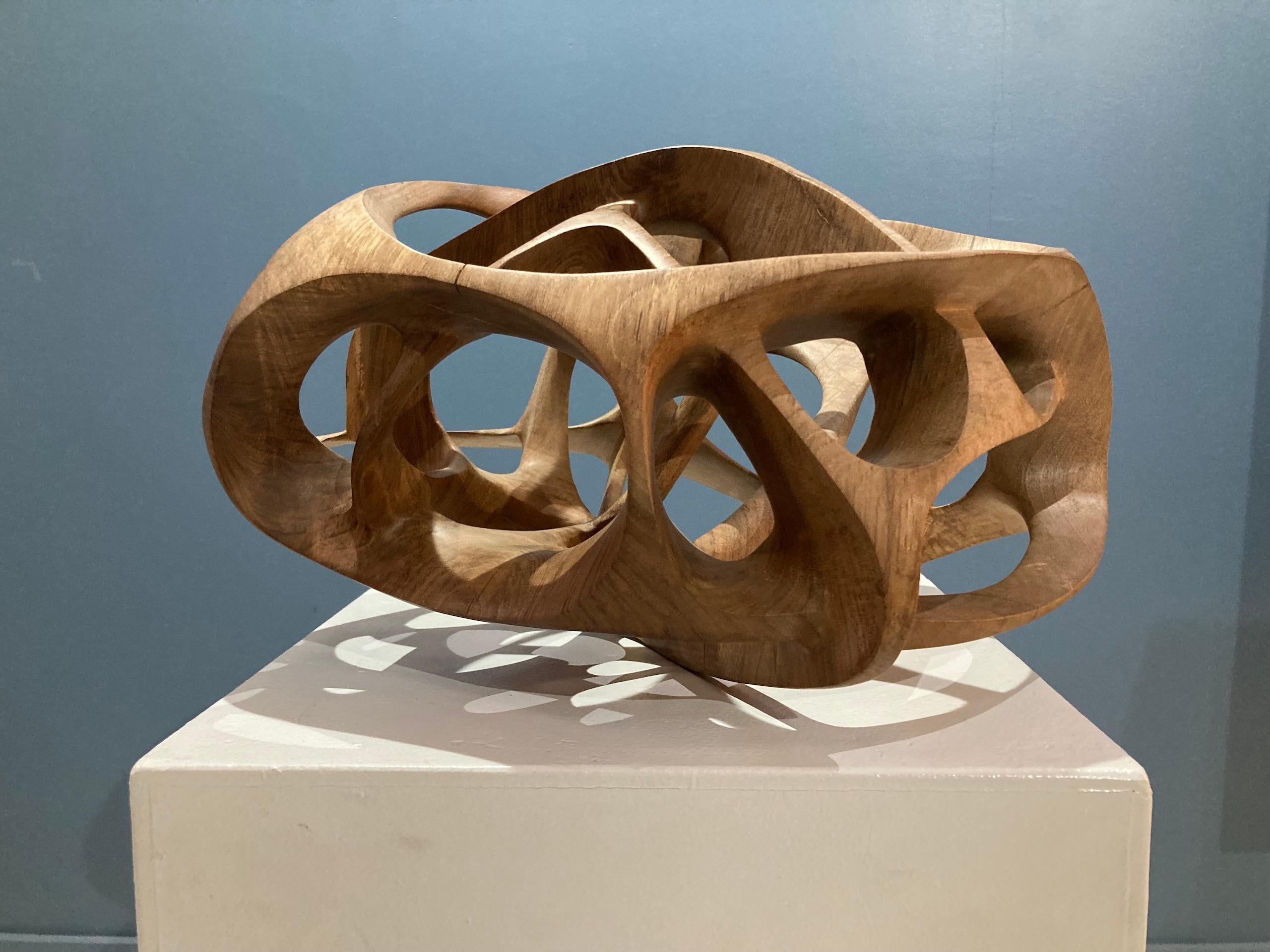 Chaotic Route III di Wouter van der Vlugt - Scultura in legno, noce, movimento in vendita 9