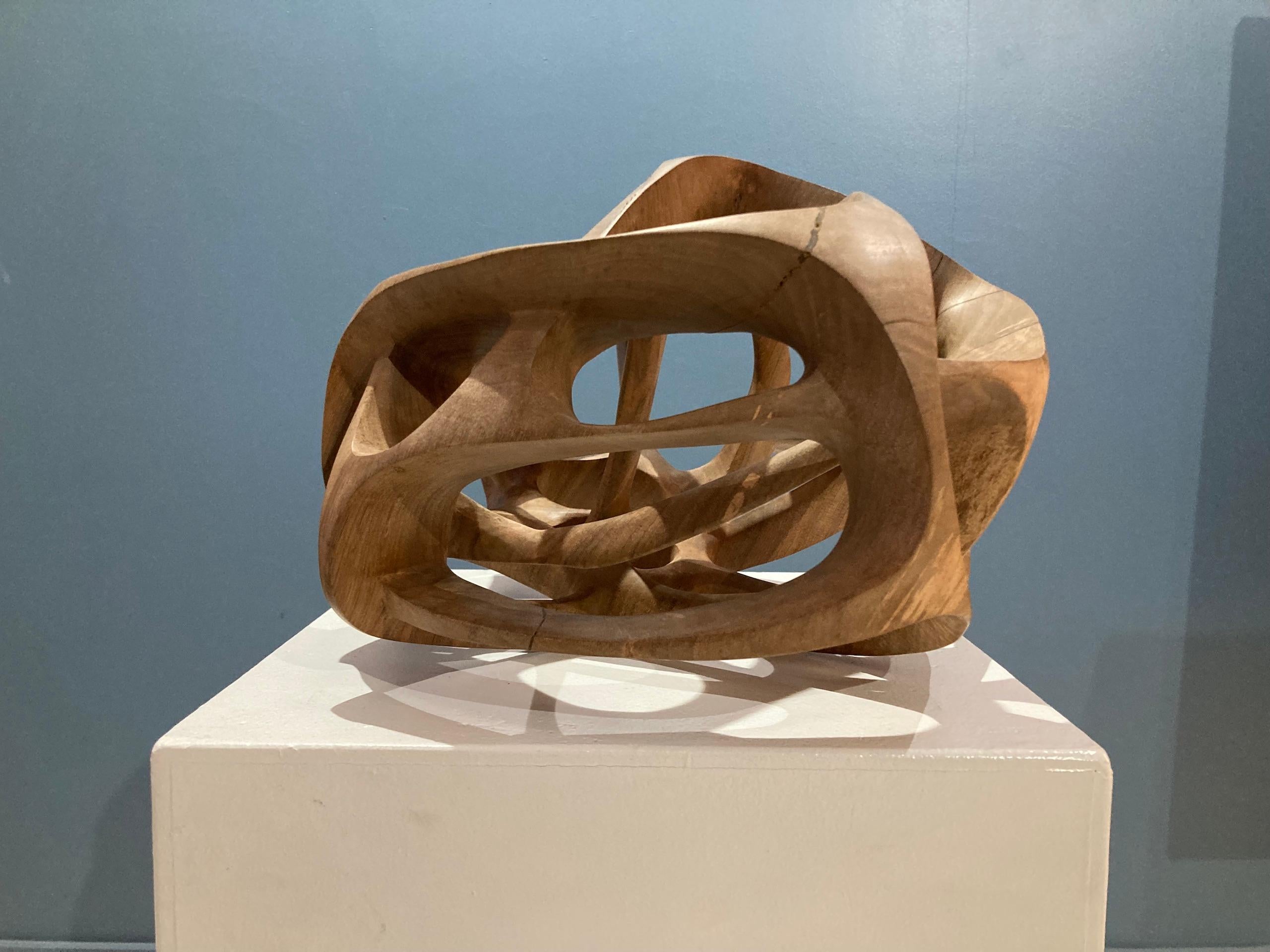Chaotic Route III di Wouter van der Vlugt - Scultura in legno, noce, movimento in vendita 11